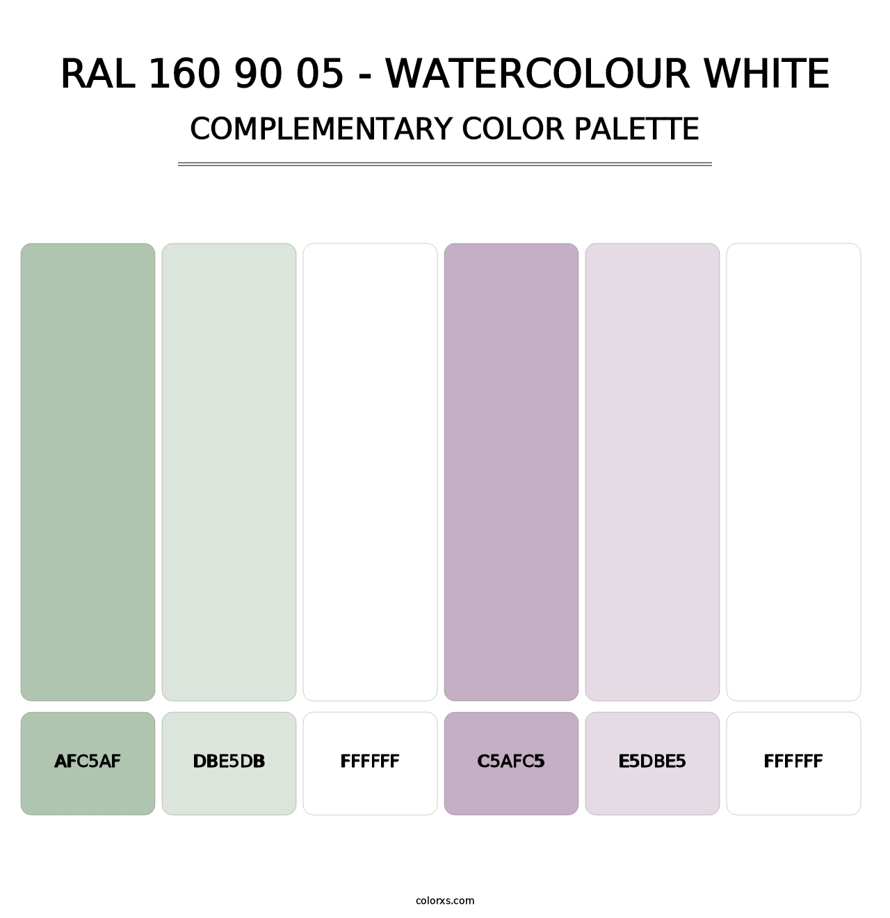 RAL 160 90 05 - Watercolour White - Complementary Color Palette