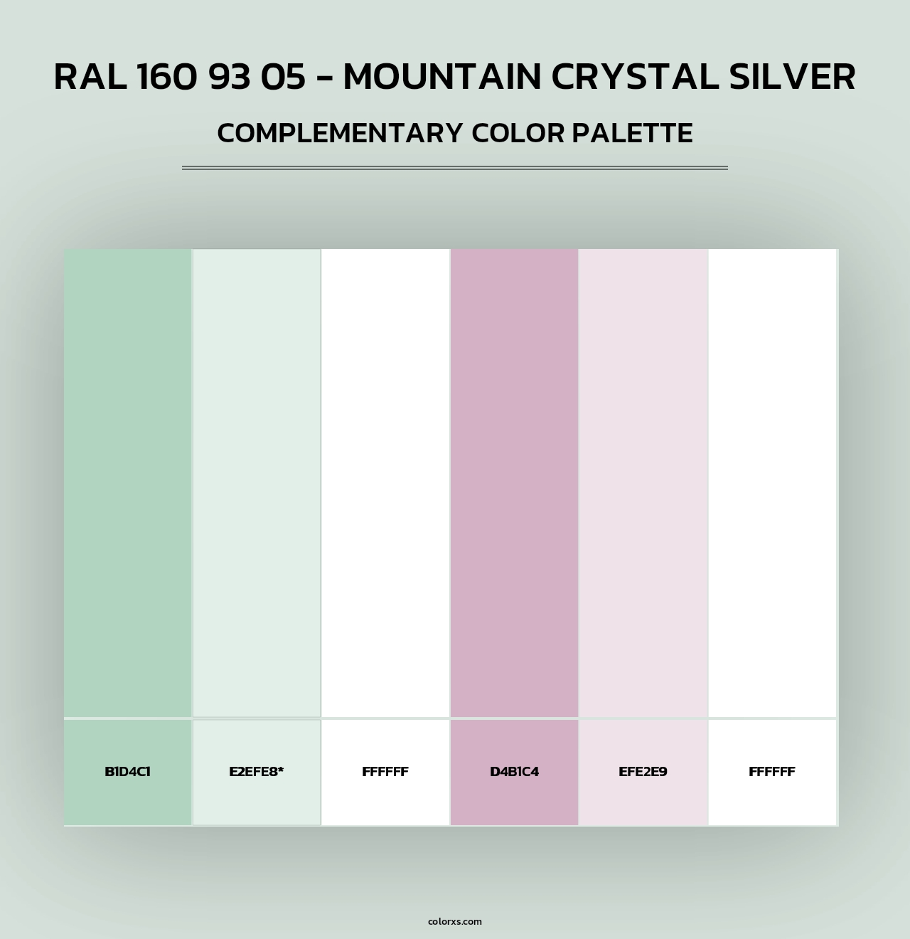 RAL 160 93 05 - Mountain Crystal Silver - Complementary Color Palette