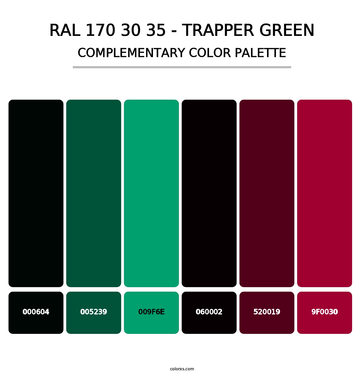 RAL 170 30 35 - Trapper Green - Complementary Color Palette