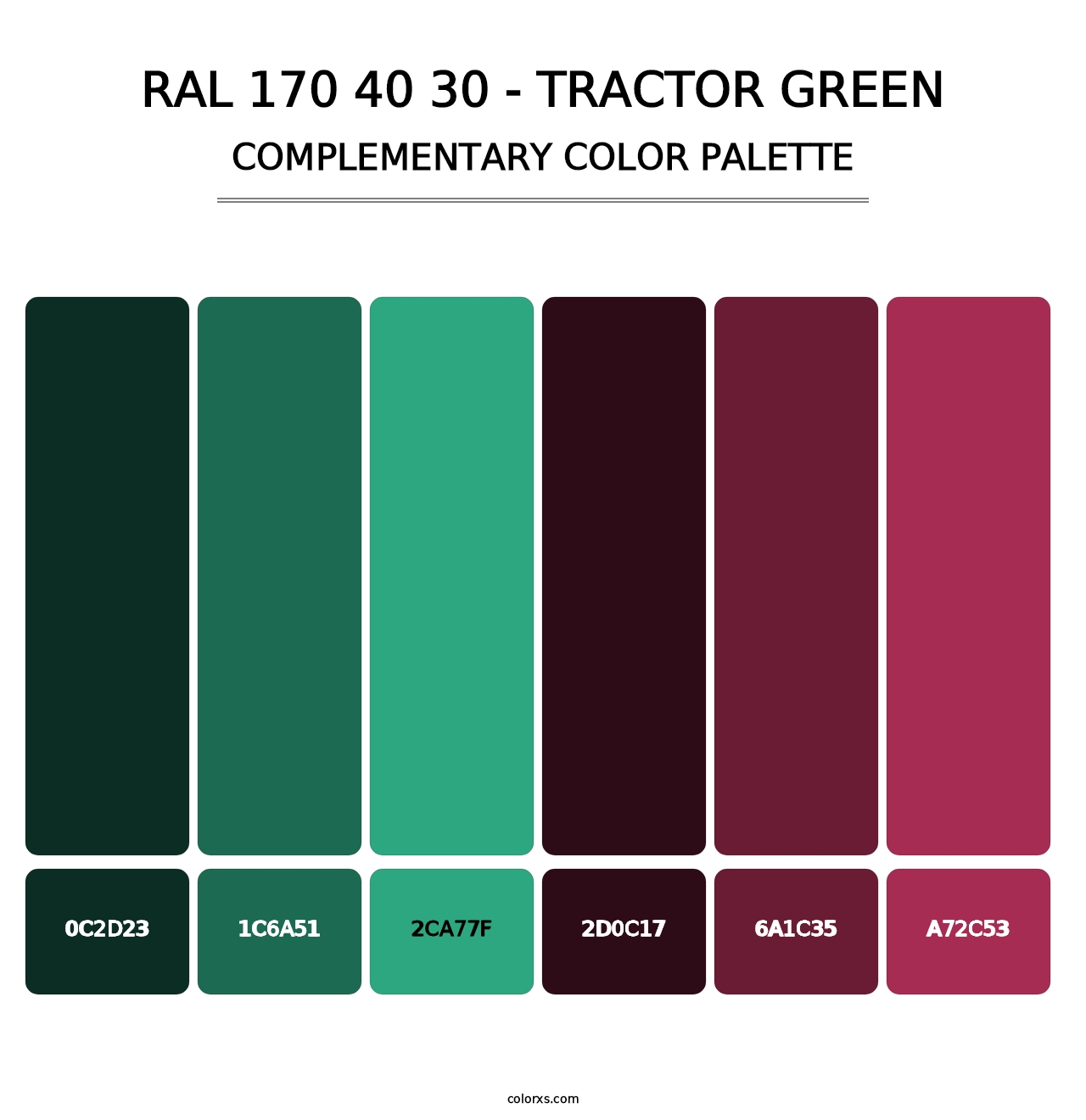 RAL 170 40 30 - Tractor Green - Complementary Color Palette