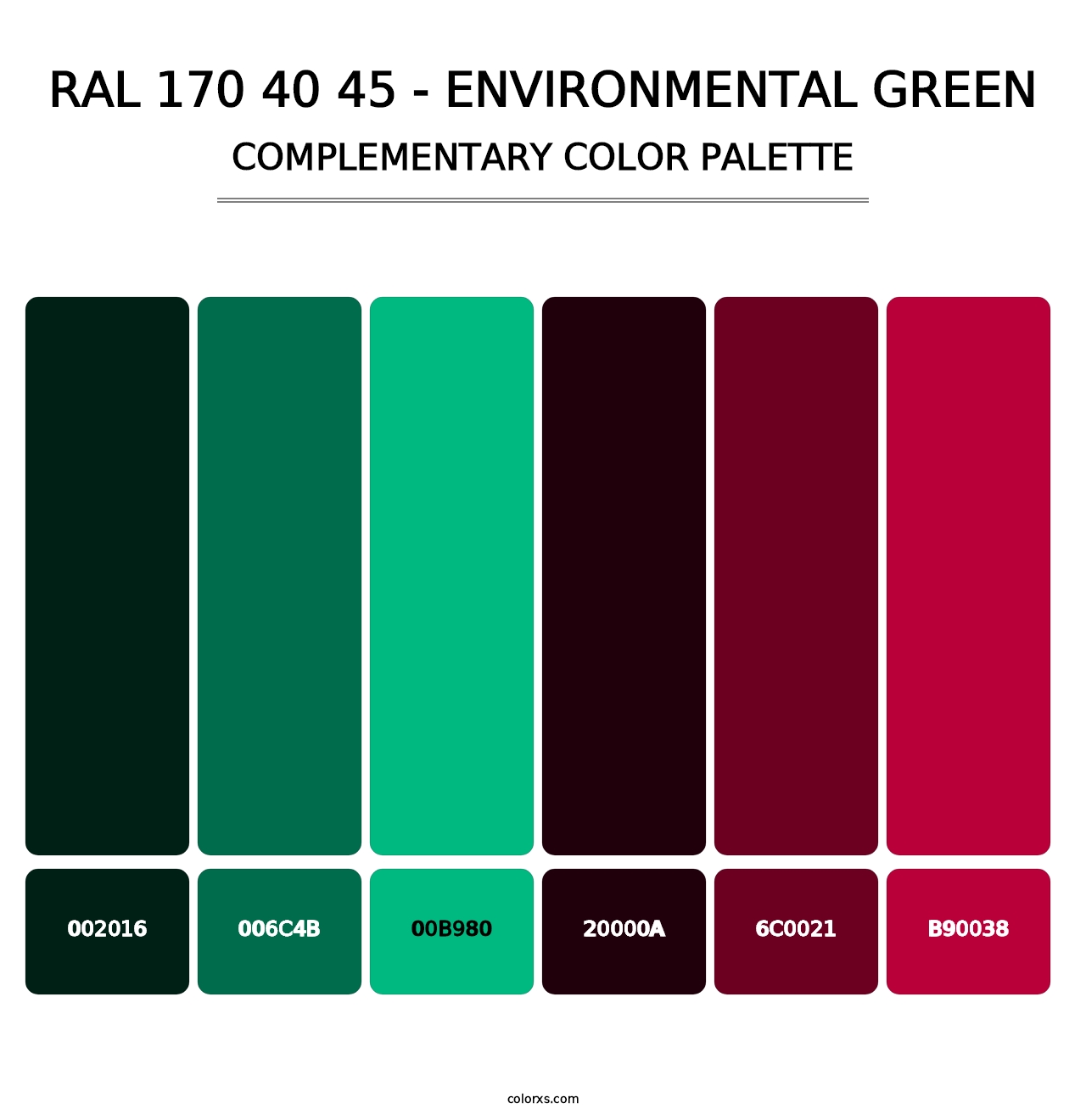 RAL 170 40 45 - Environmental Green - Complementary Color Palette