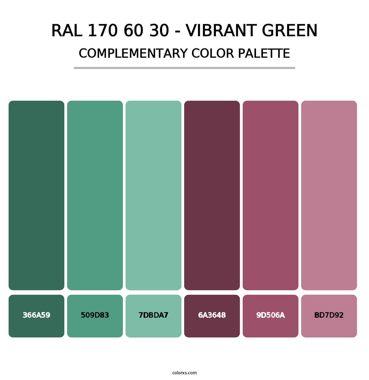 RAL 170 60 30 - Vibrant Green - Complementary Color Palette