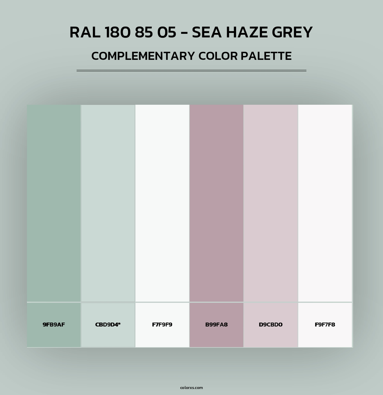 RAL 180 85 05 - Sea Haze Grey - Complementary Color Palette