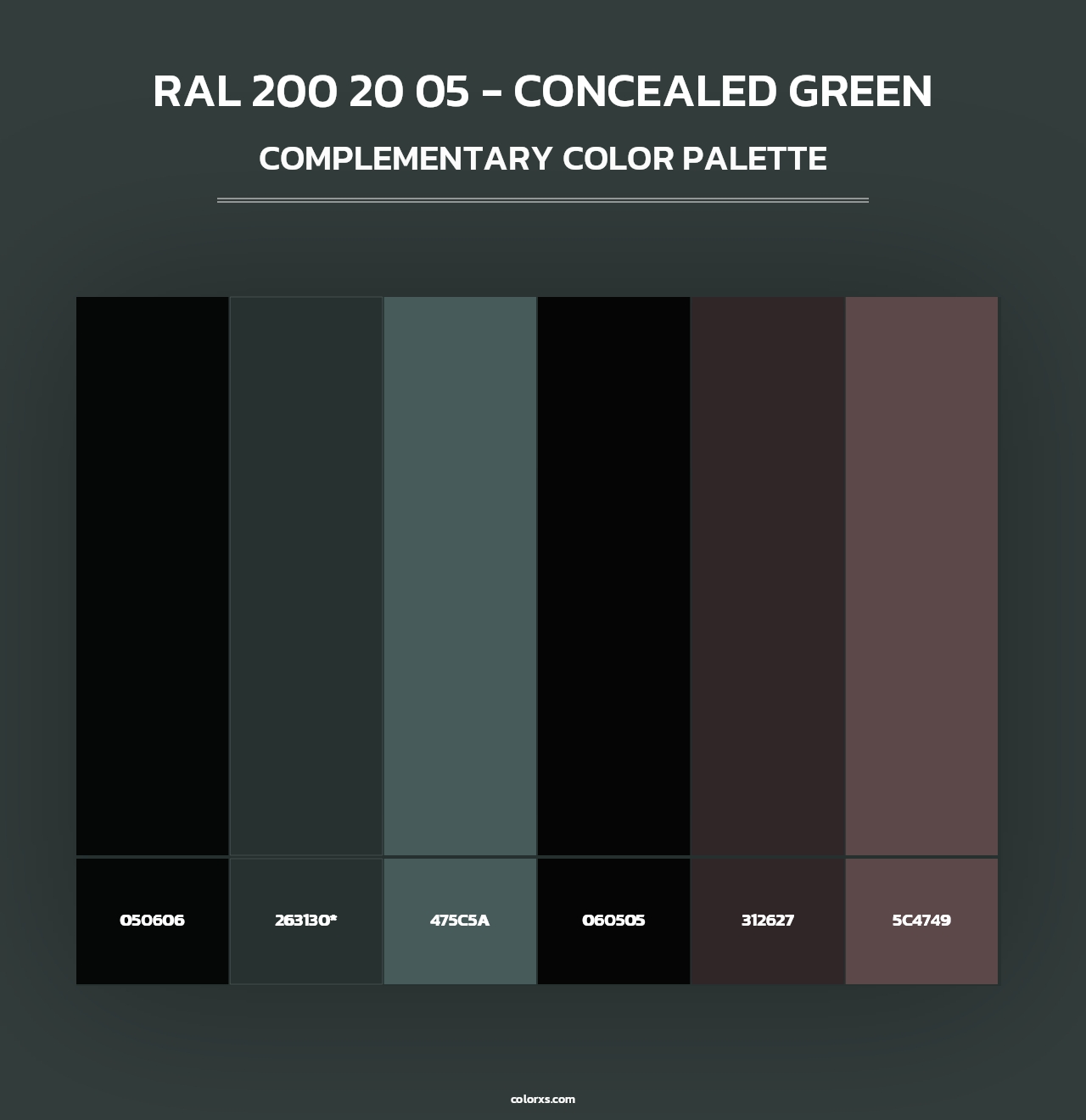 RAL 200 20 05 - Concealed Green - Complementary Color Palette
