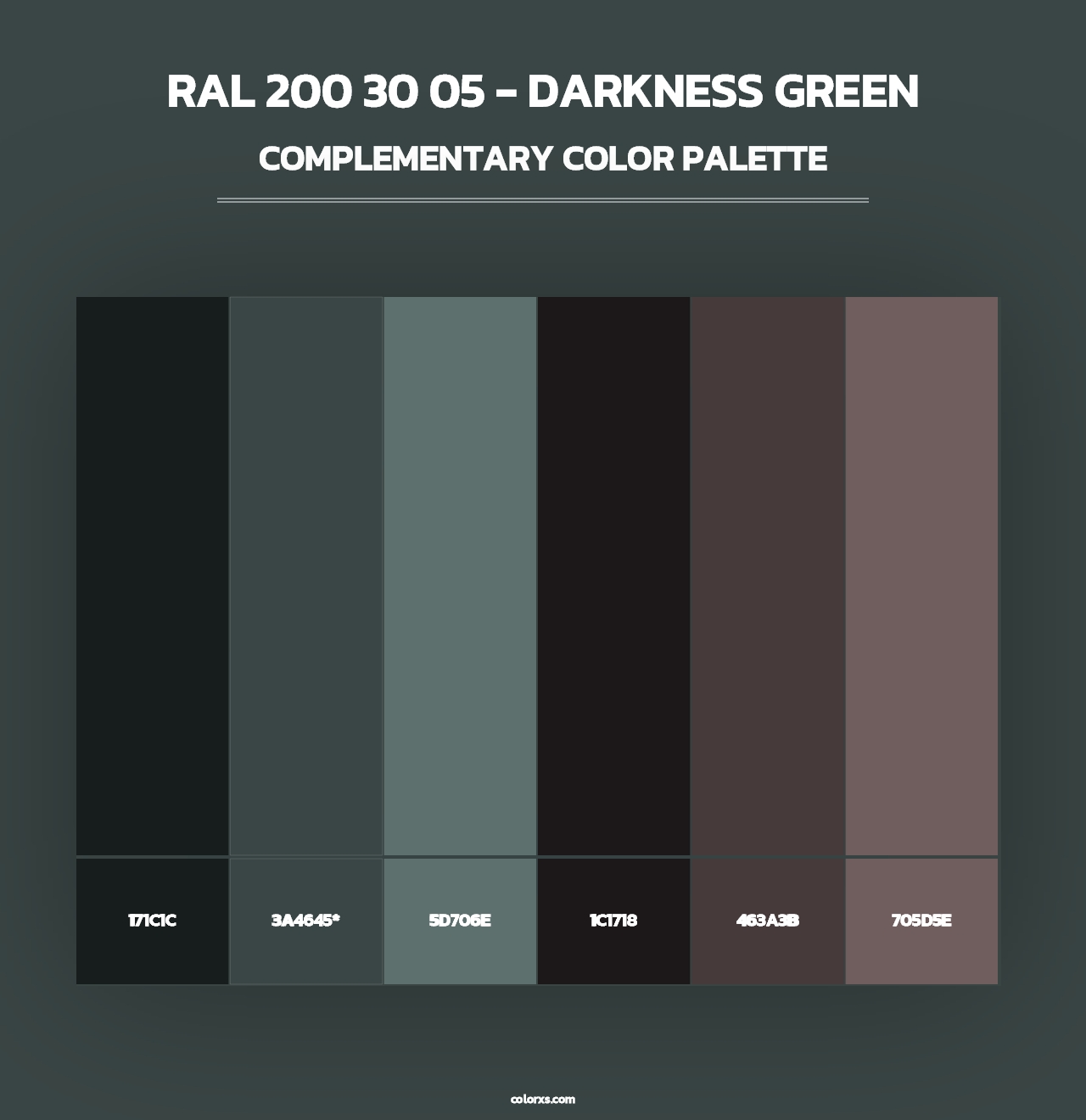 RAL 200 30 05 - Darkness Green - Complementary Color Palette
