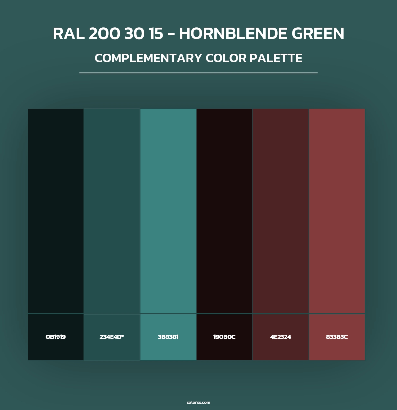 RAL 200 30 15 - Hornblende Green - Complementary Color Palette