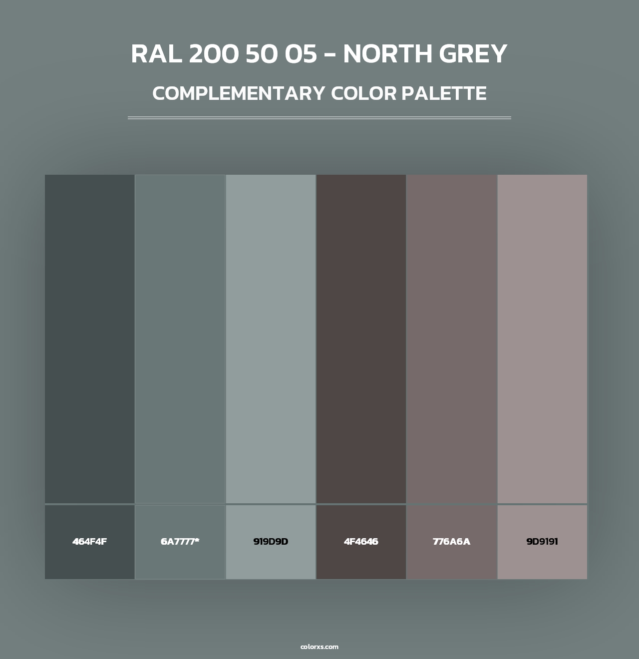 RAL 200 50 05 - North Grey - Complementary Color Palette