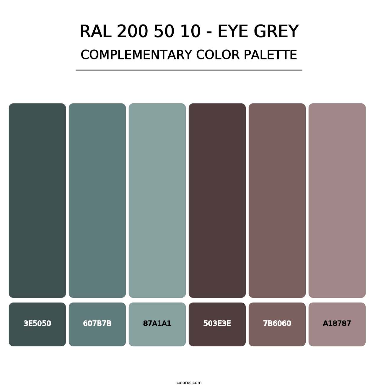 RAL 200 50 10 - Eye Grey - Complementary Color Palette