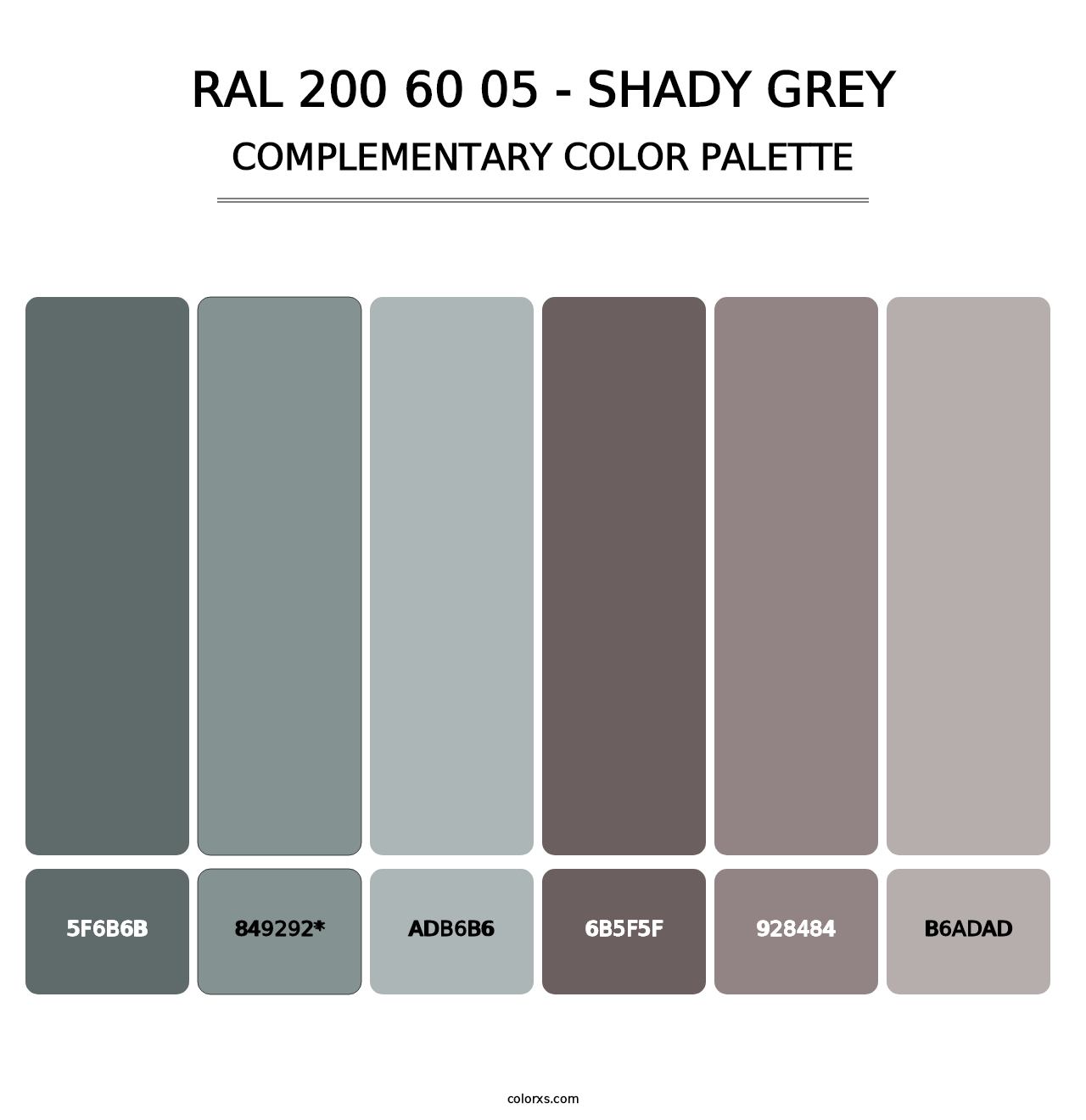 RAL 200 60 05 - Shady Grey - Complementary Color Palette