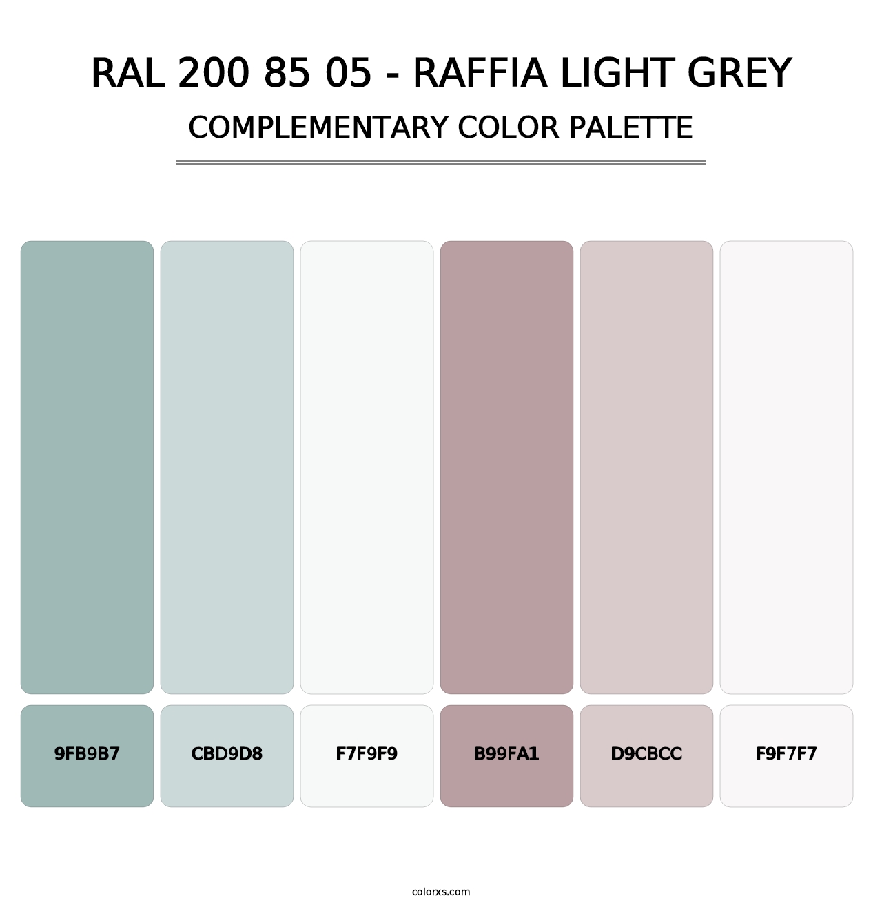 RAL 200 85 05 - Raffia Light Grey - Complementary Color Palette