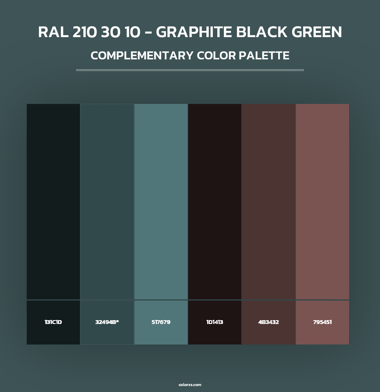 RAL 210 30 10 - Graphite Black Green - Complementary Color Palette