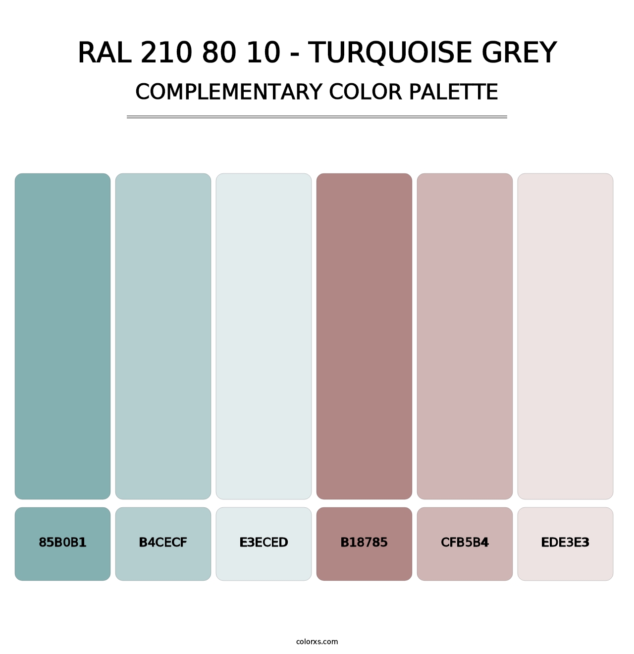 RAL 210 80 10 - Turquoise Grey - Complementary Color Palette