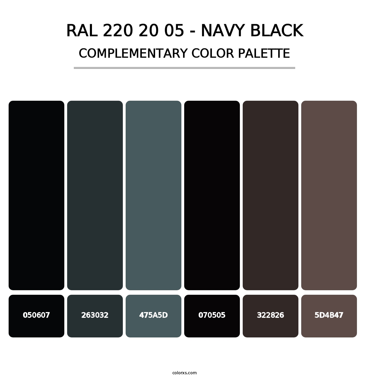 RAL 220 20 05 - Navy Black - Complementary Color Palette