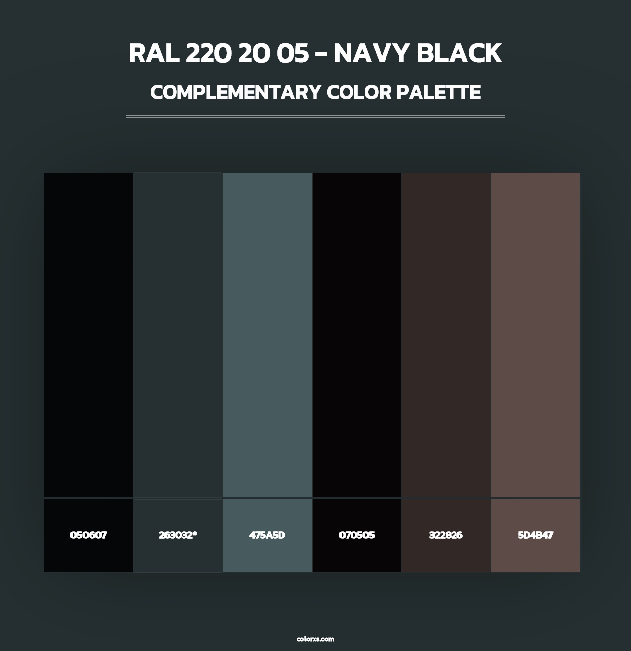 RAL 220 20 05 - Navy Black - Complementary Color Palette