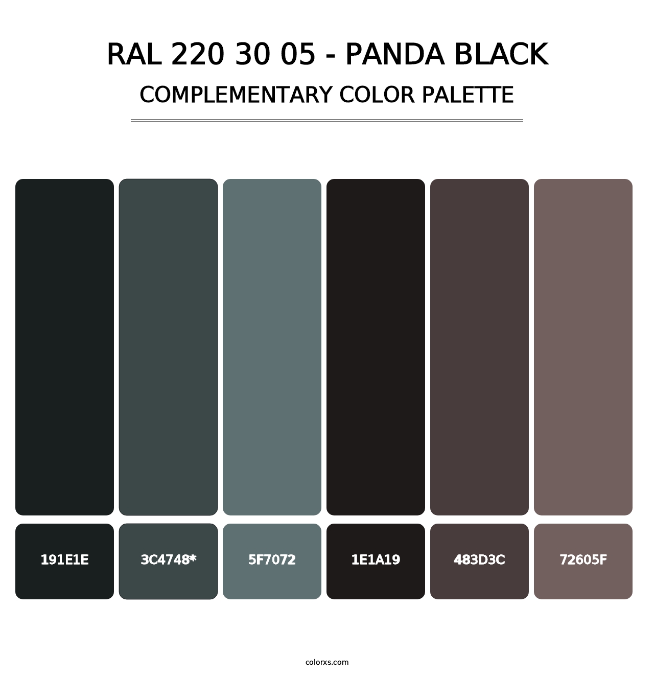 RAL 220 30 05 - Panda Black - Complementary Color Palette