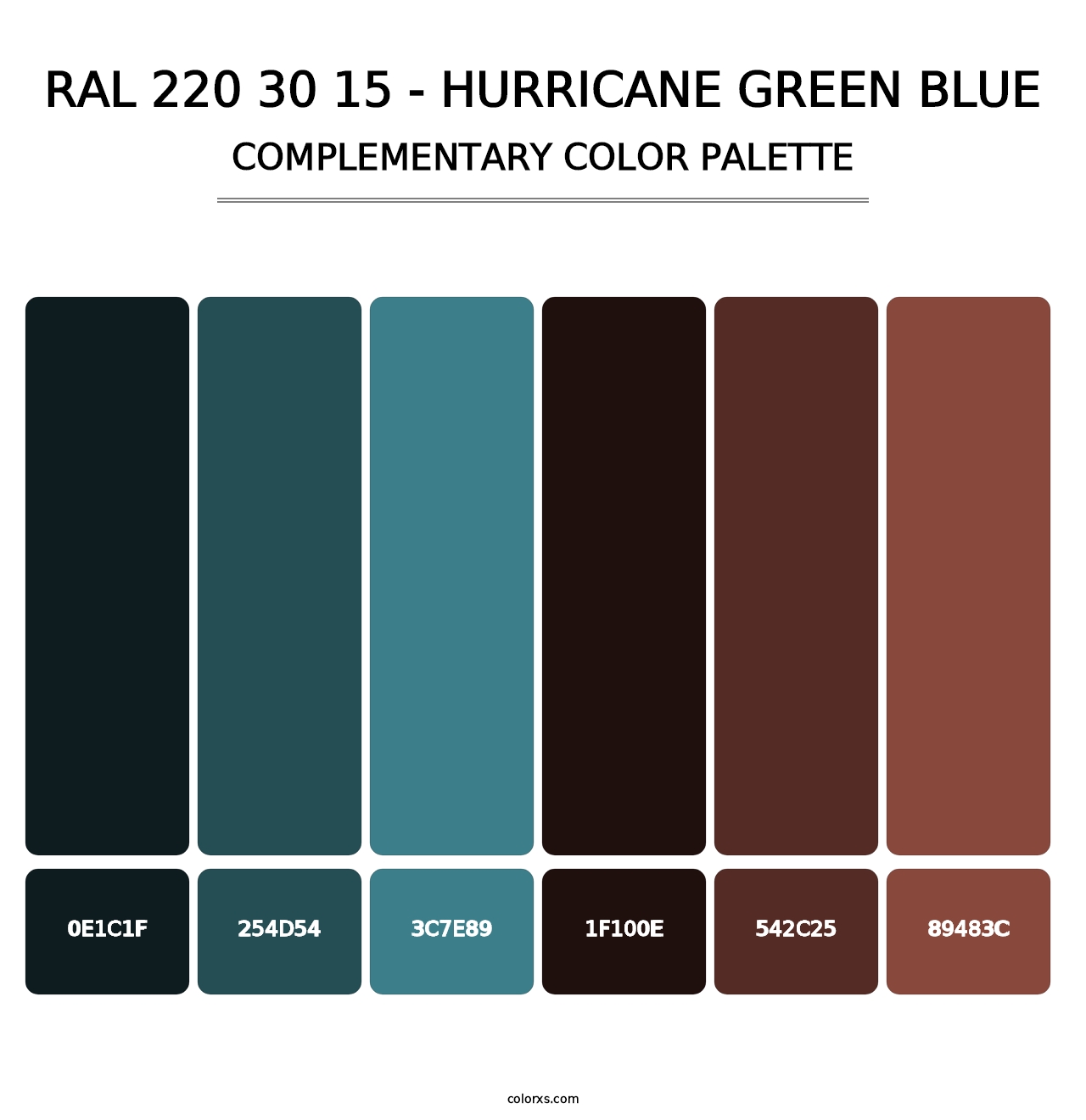 RAL 220 30 15 - Hurricane Green Blue - Complementary Color Palette