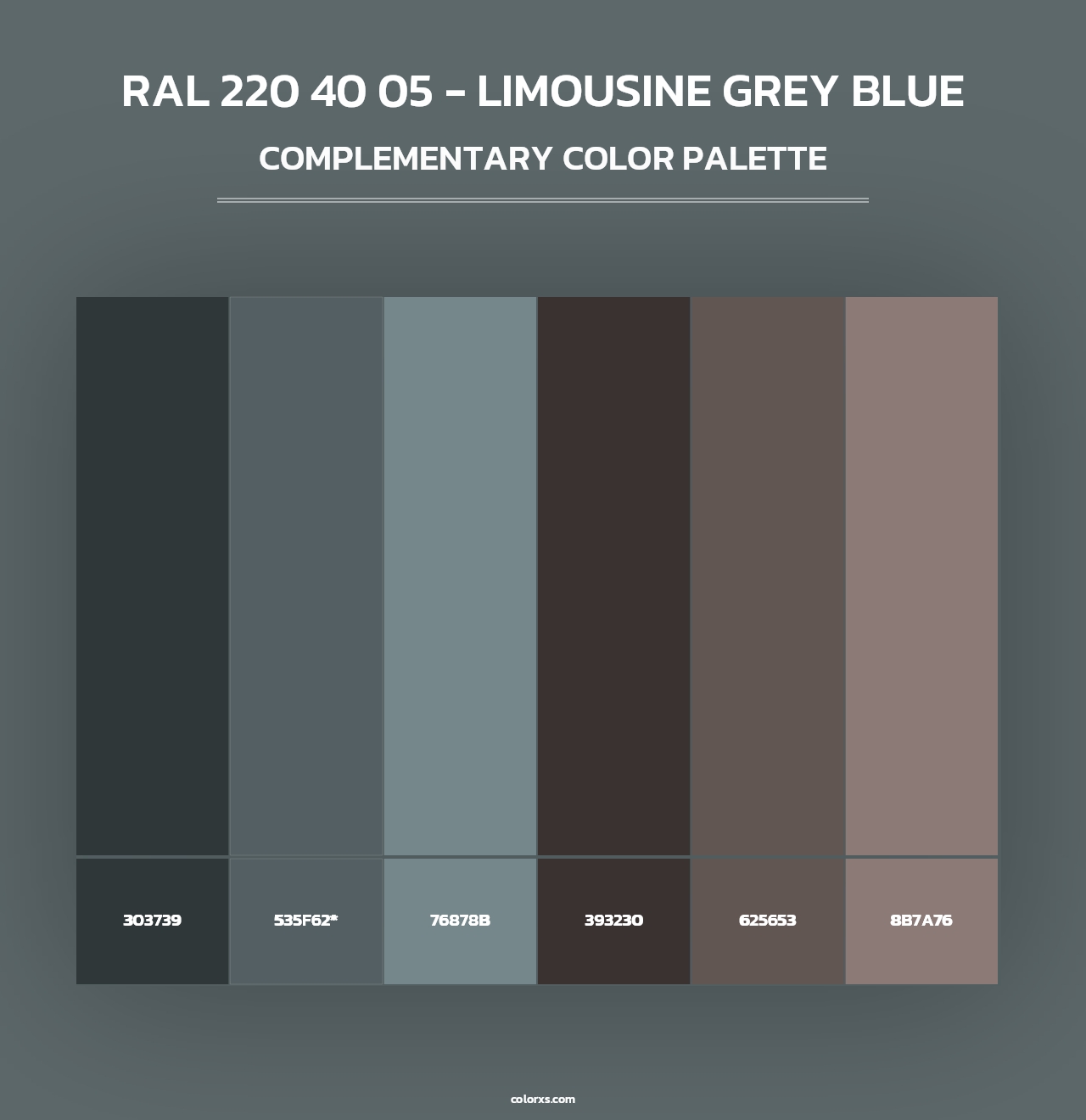 RAL 220 40 05 - Limousine Grey Blue - Complementary Color Palette