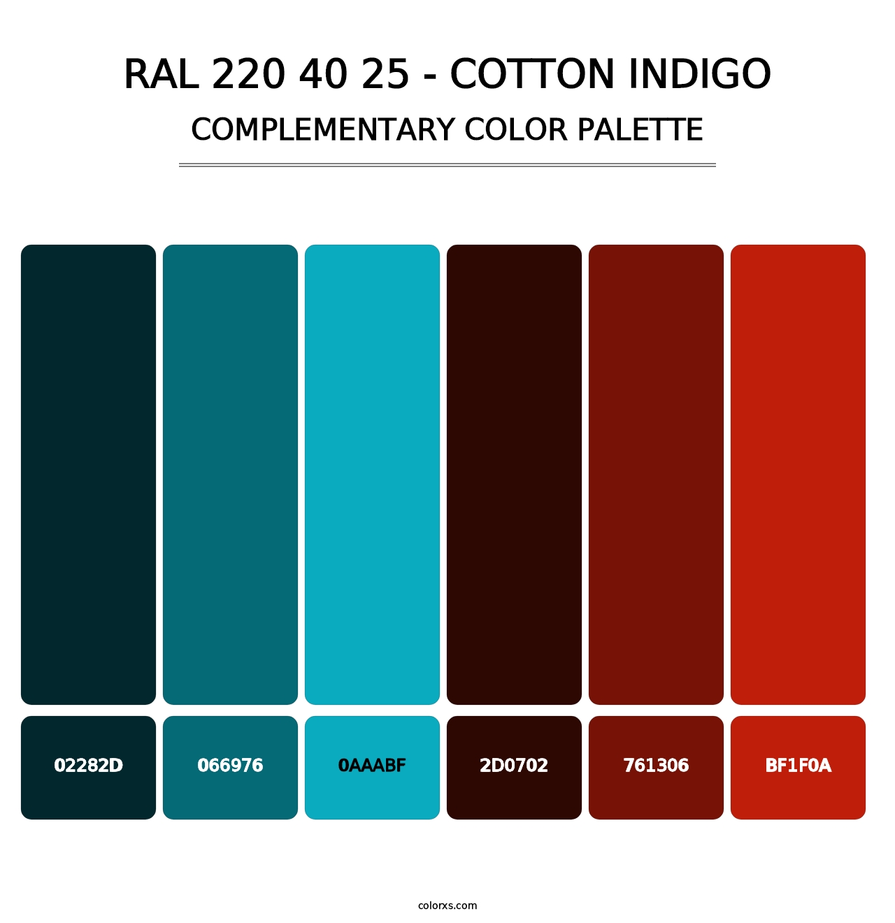 RAL 220 40 25 - Cotton Indigo - Complementary Color Palette