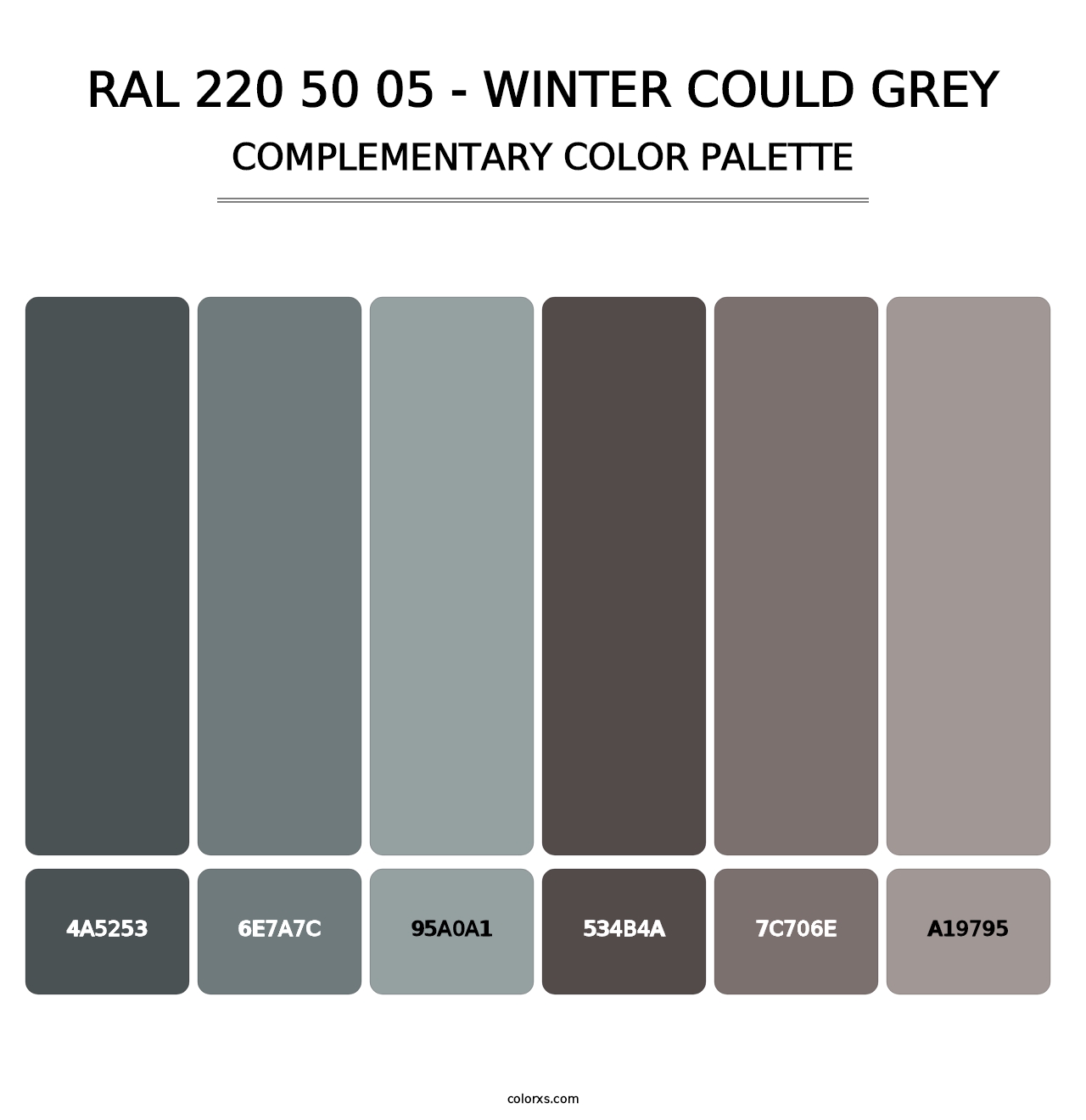 RAL 220 50 05 - Winter Could Grey - Complementary Color Palette