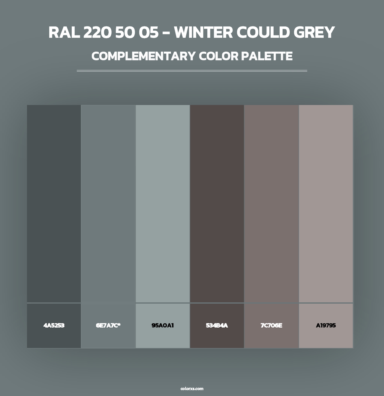RAL 220 50 05 - Winter Could Grey - Complementary Color Palette