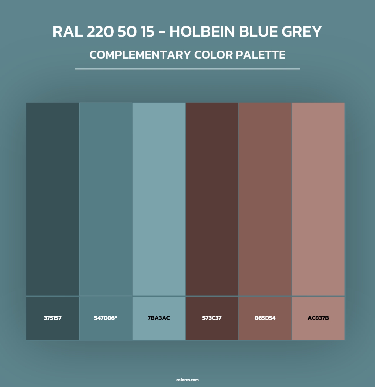 RAL 220 50 15 - Holbein Blue Grey - Complementary Color Palette