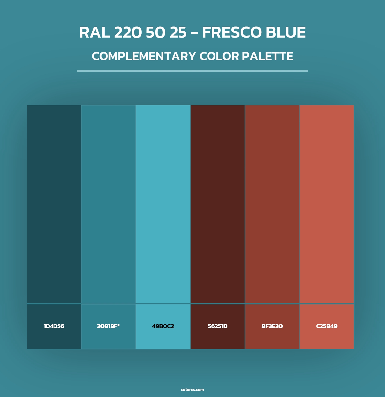 RAL 220 50 25 - Fresco Blue - Complementary Color Palette