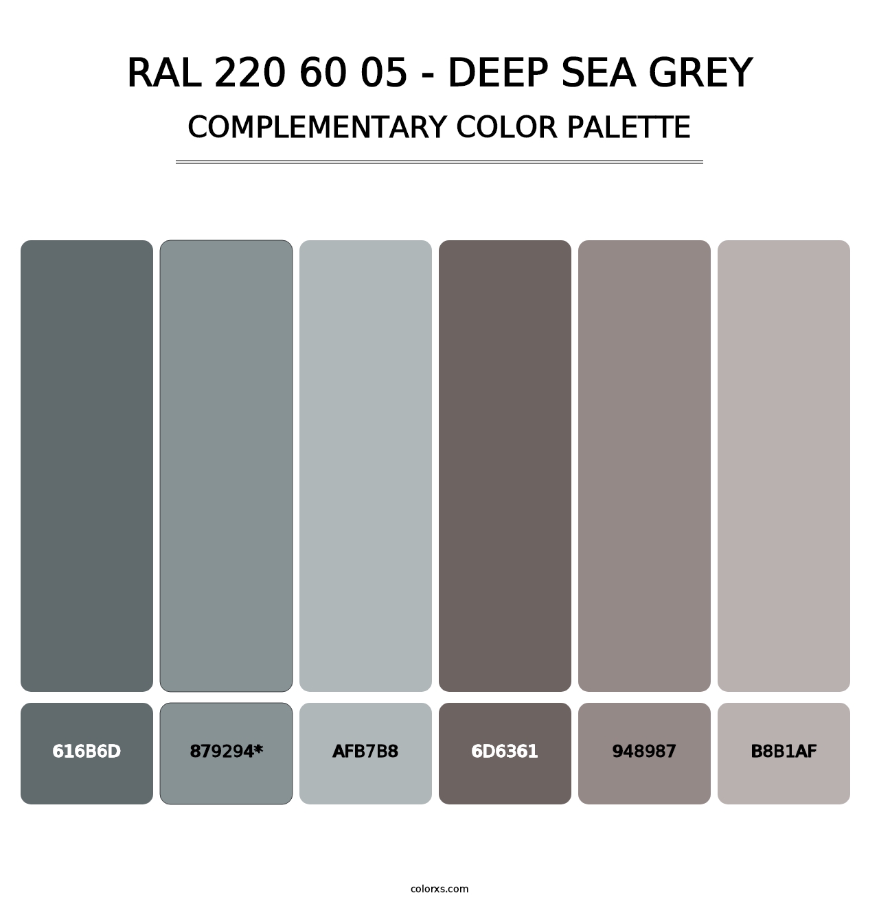 RAL 220 60 05 - Deep Sea Grey - Complementary Color Palette