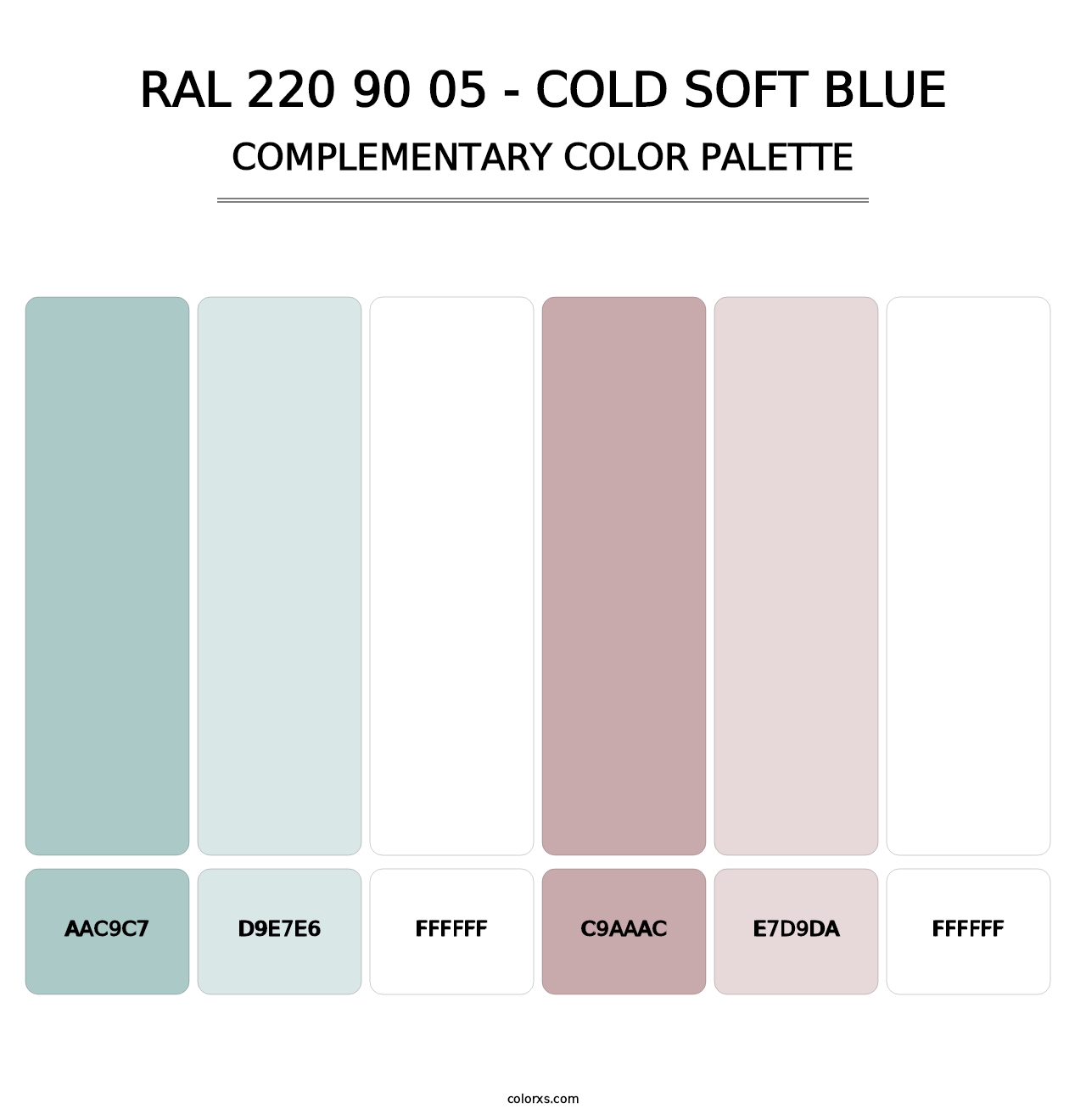 RAL 220 90 05 - Cold Soft Blue - Complementary Color Palette