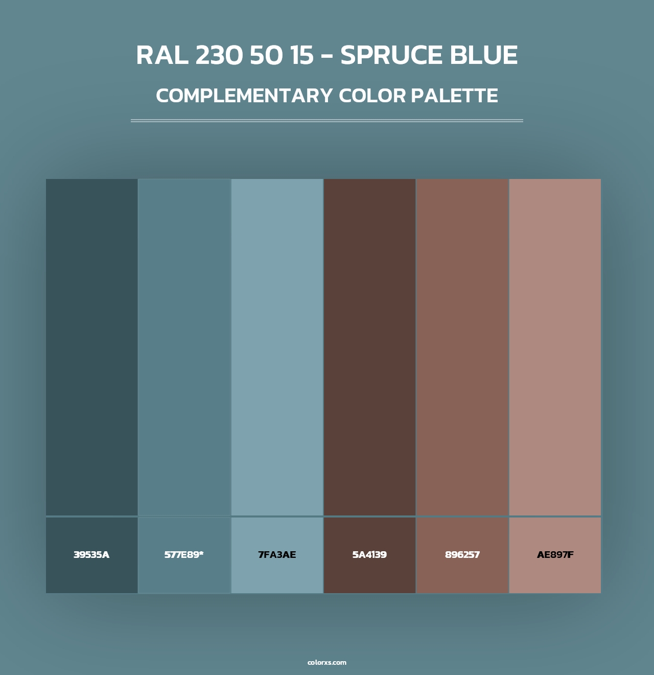 RAL 230 50 15 - Spruce Blue - Complementary Color Palette