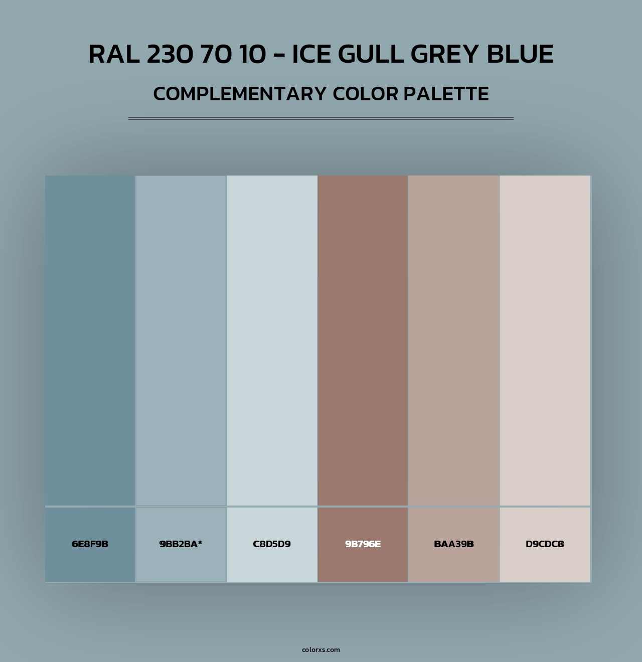 RAL 230 70 10 - Ice Gull Grey Blue - Complementary Color Palette
