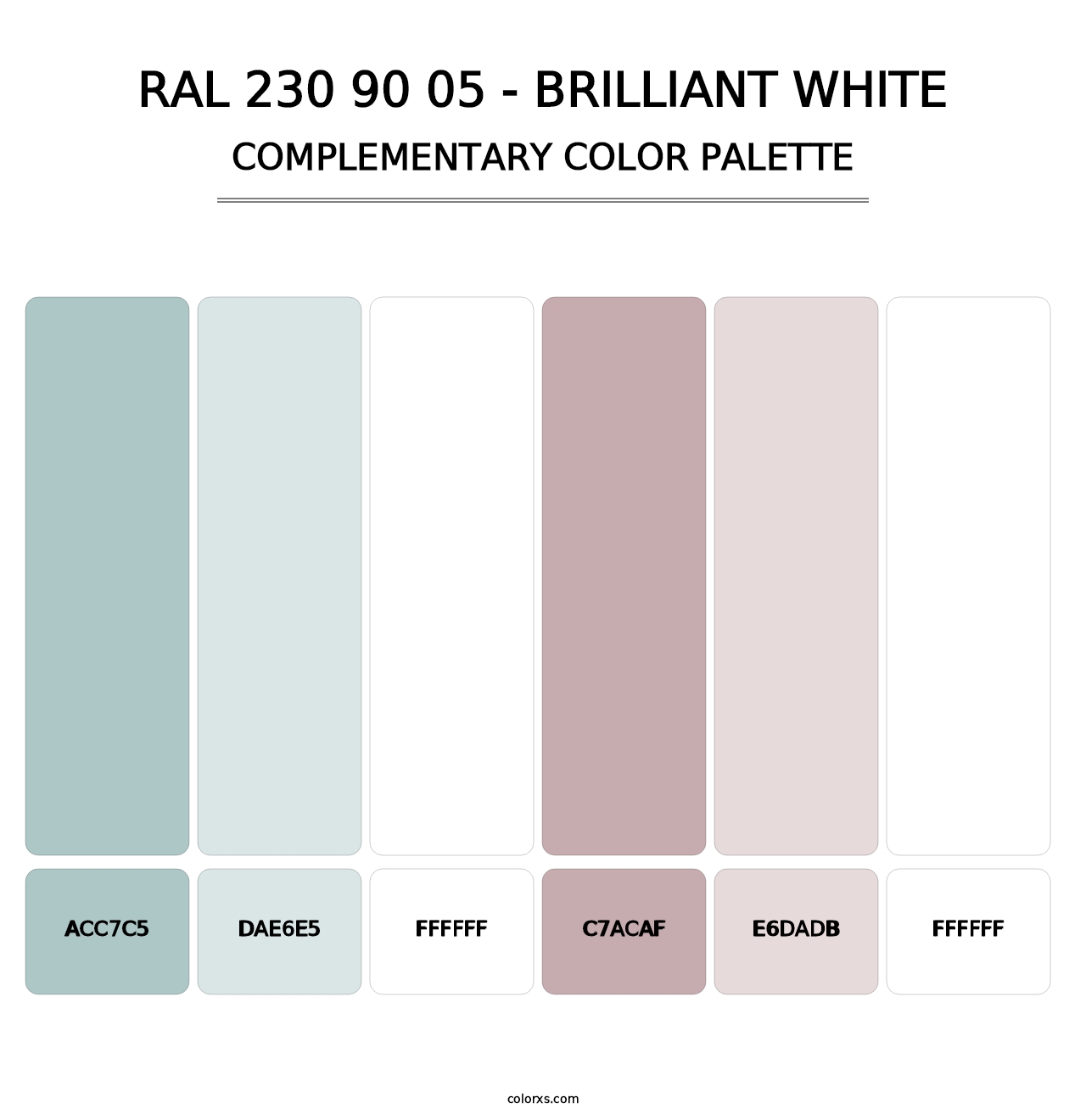 RAL 230 90 05 - Brilliant White - Complementary Color Palette