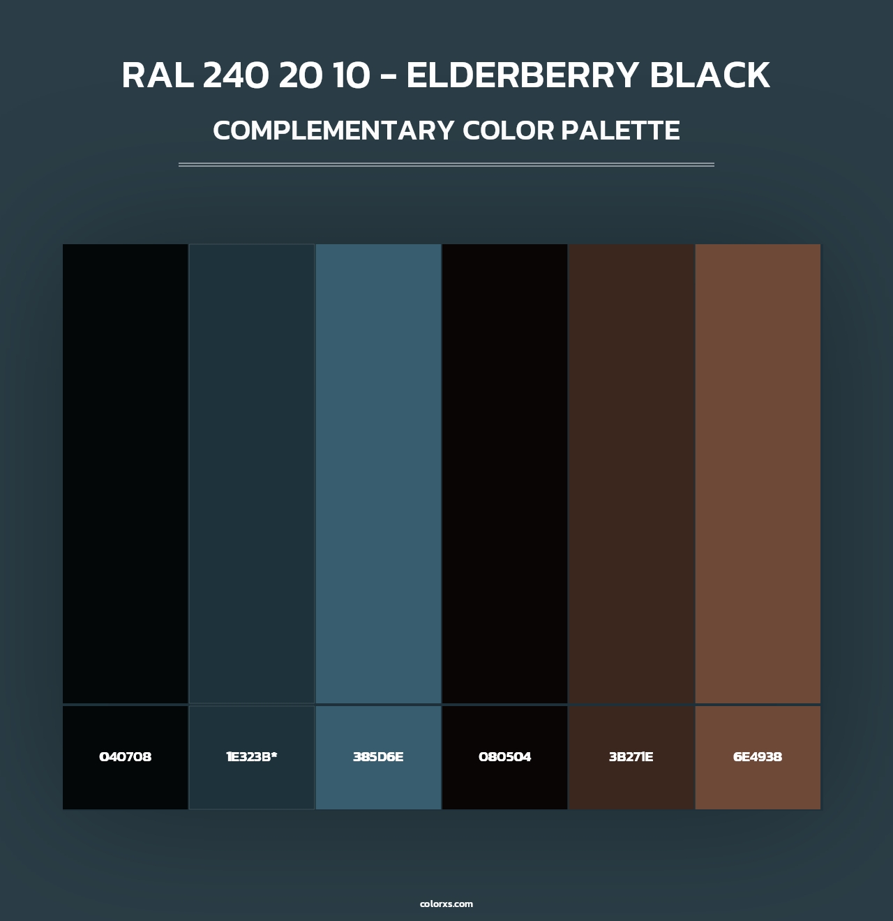 RAL 240 20 10 - Elderberry Black - Complementary Color Palette