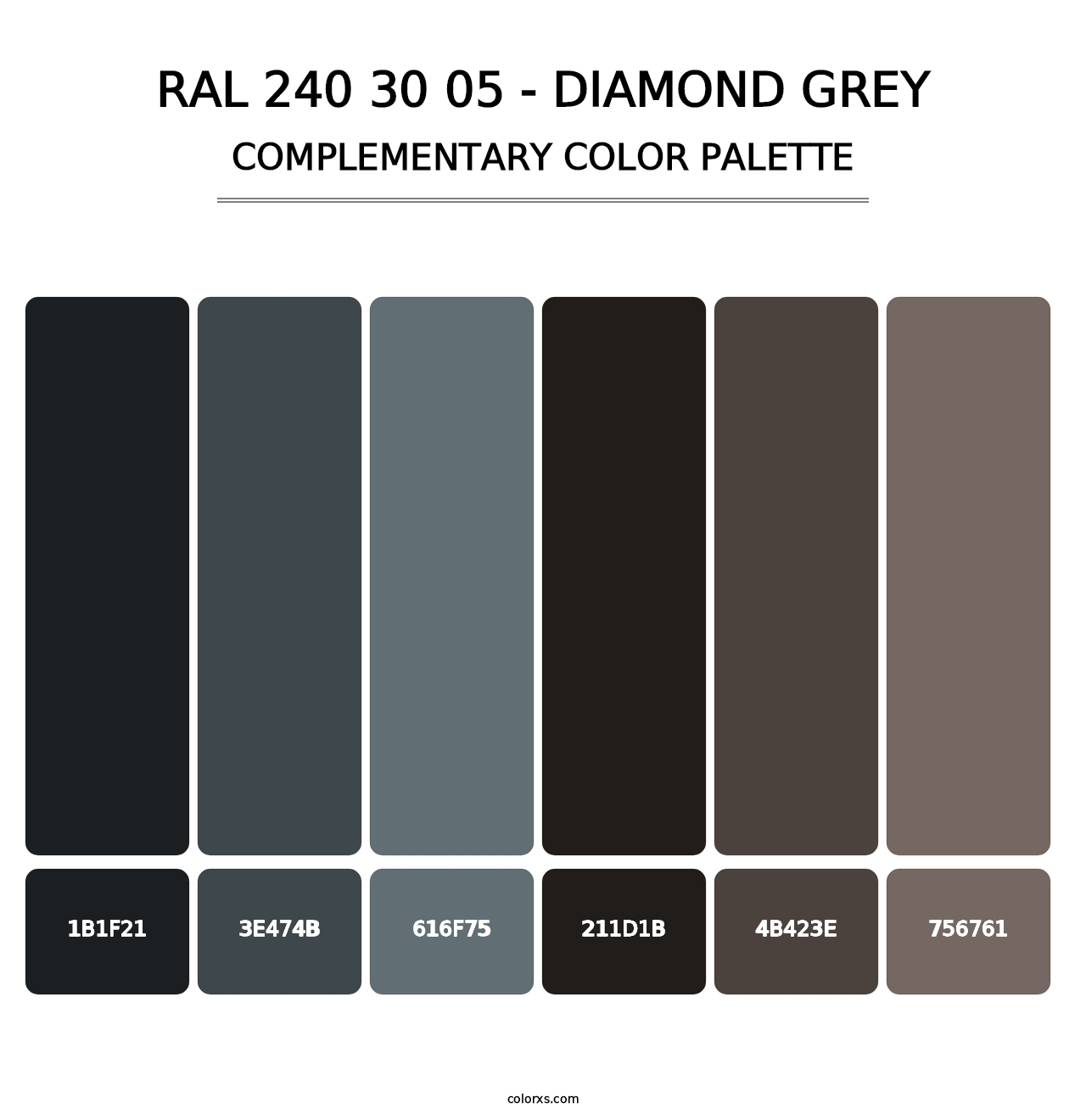 RAL 240 30 05 - Diamond Grey - Complementary Color Palette