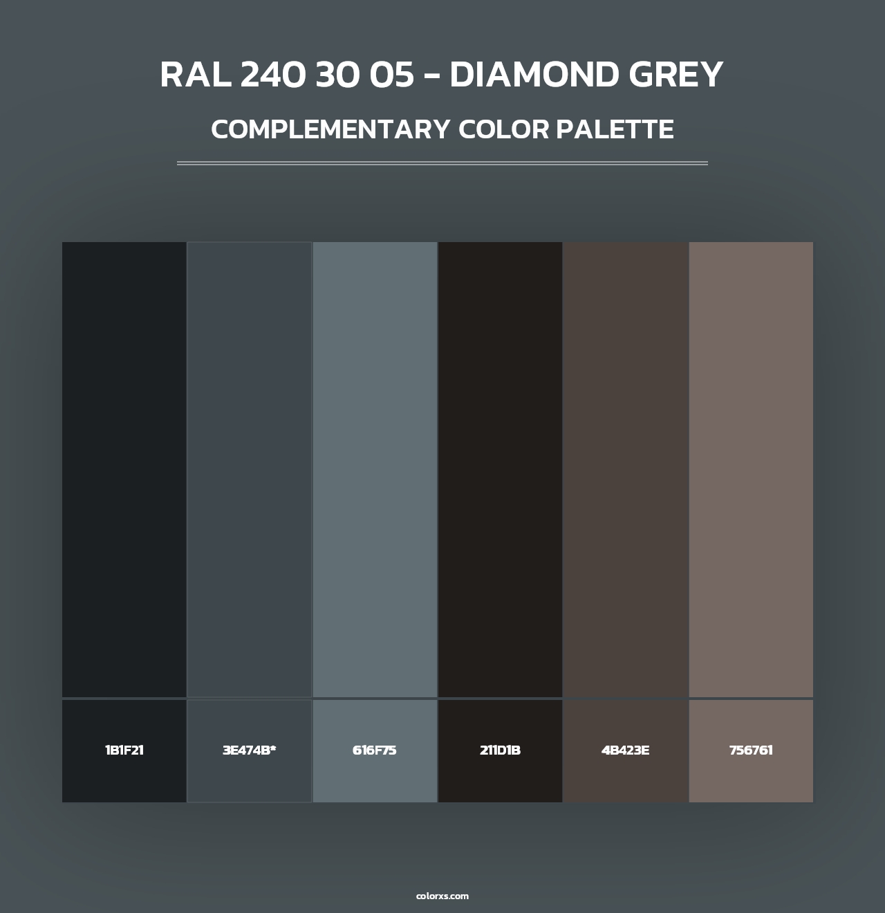 RAL 240 30 05 - Diamond Grey - Complementary Color Palette