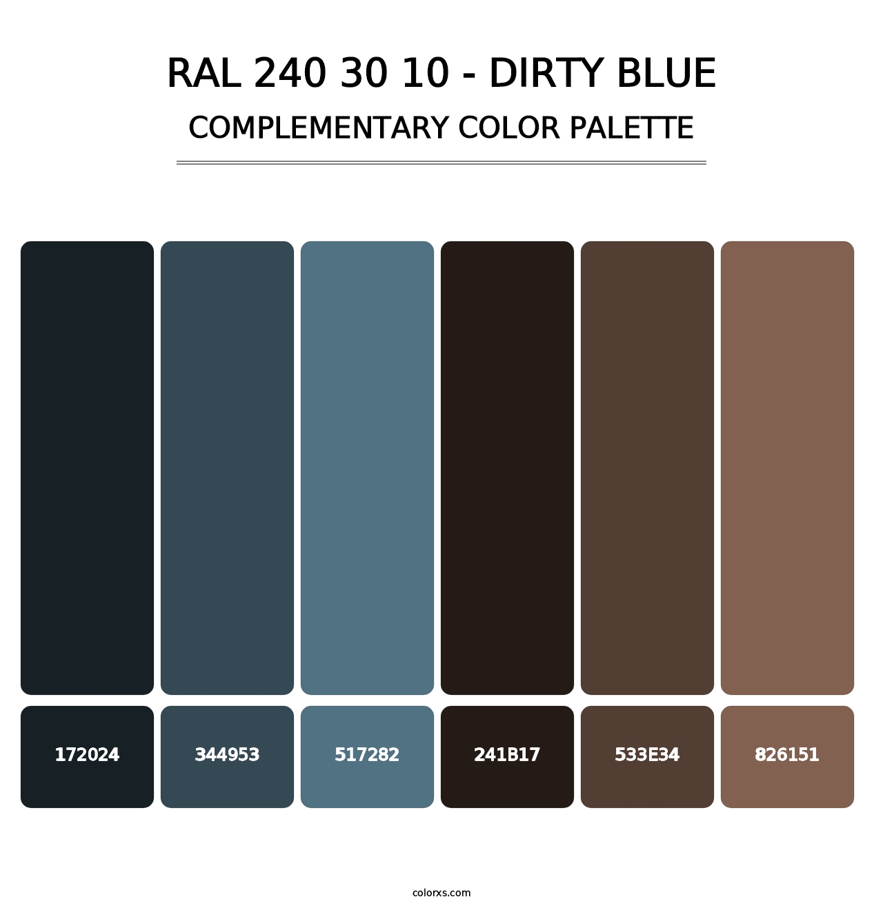 RAL 240 30 10 - Dirty Blue - Complementary Color Palette