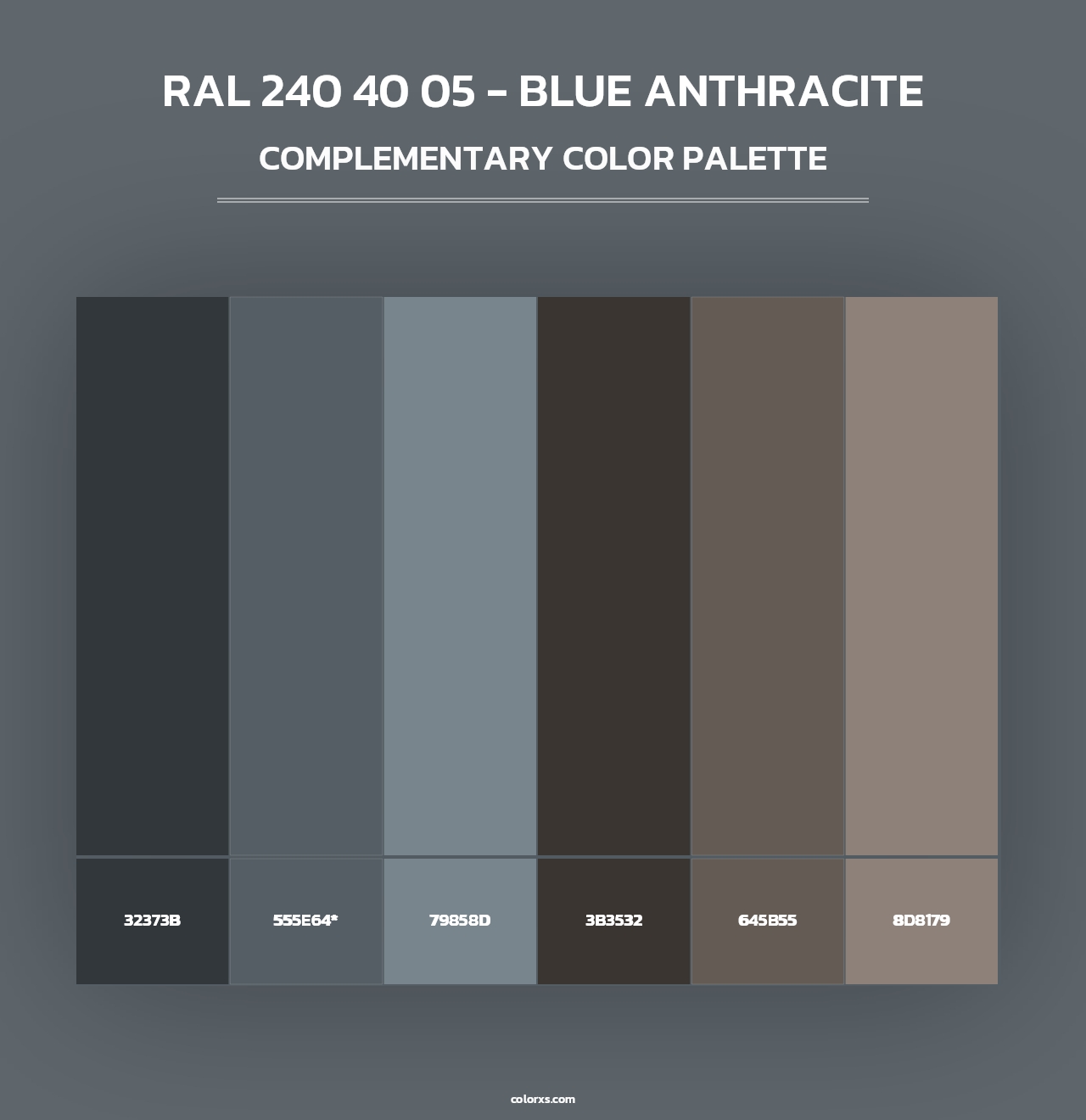 RAL 240 40 05 - Blue Anthracite - Complementary Color Palette
