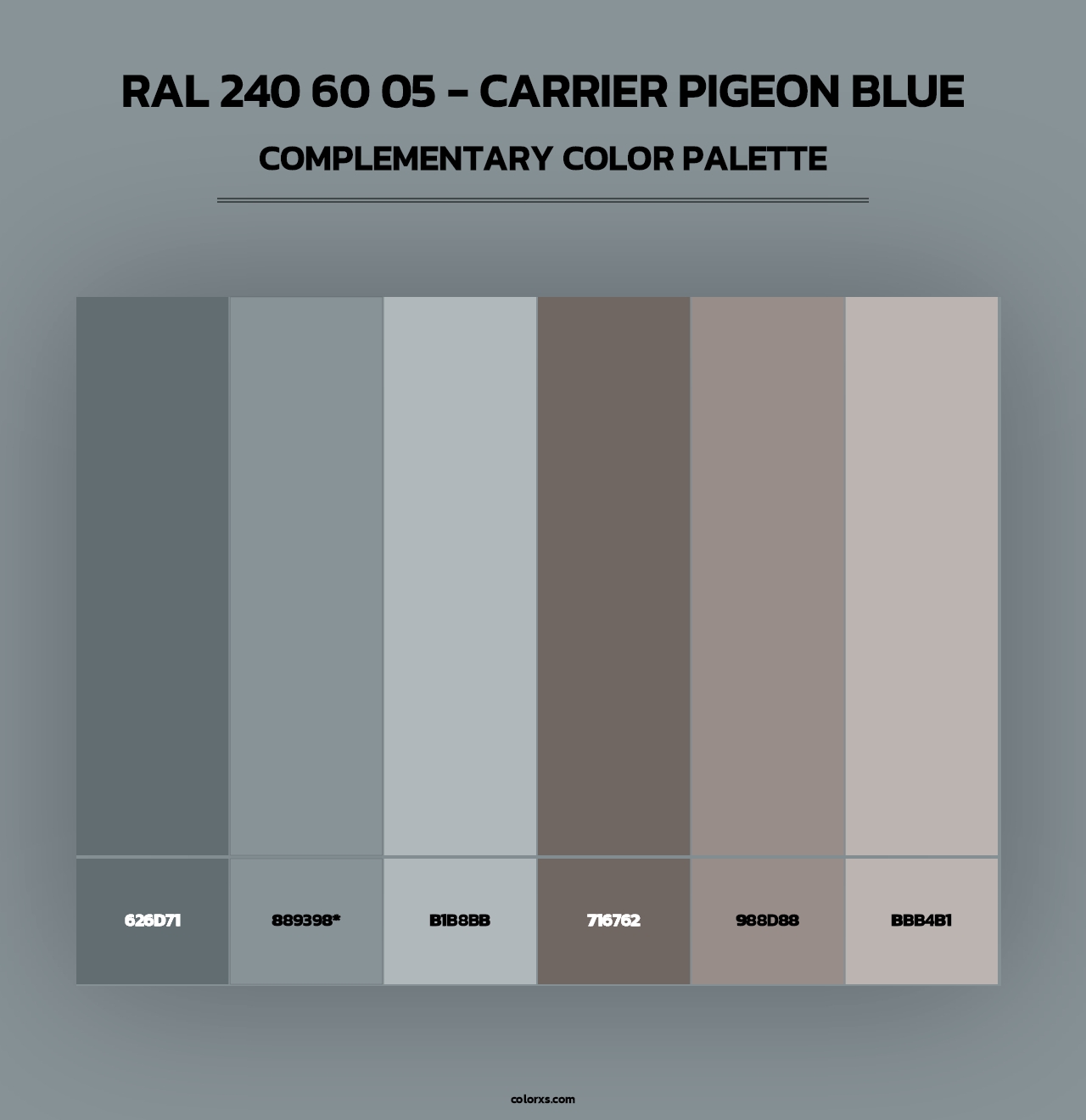 RAL 240 60 05 - Carrier Pigeon Blue - Complementary Color Palette