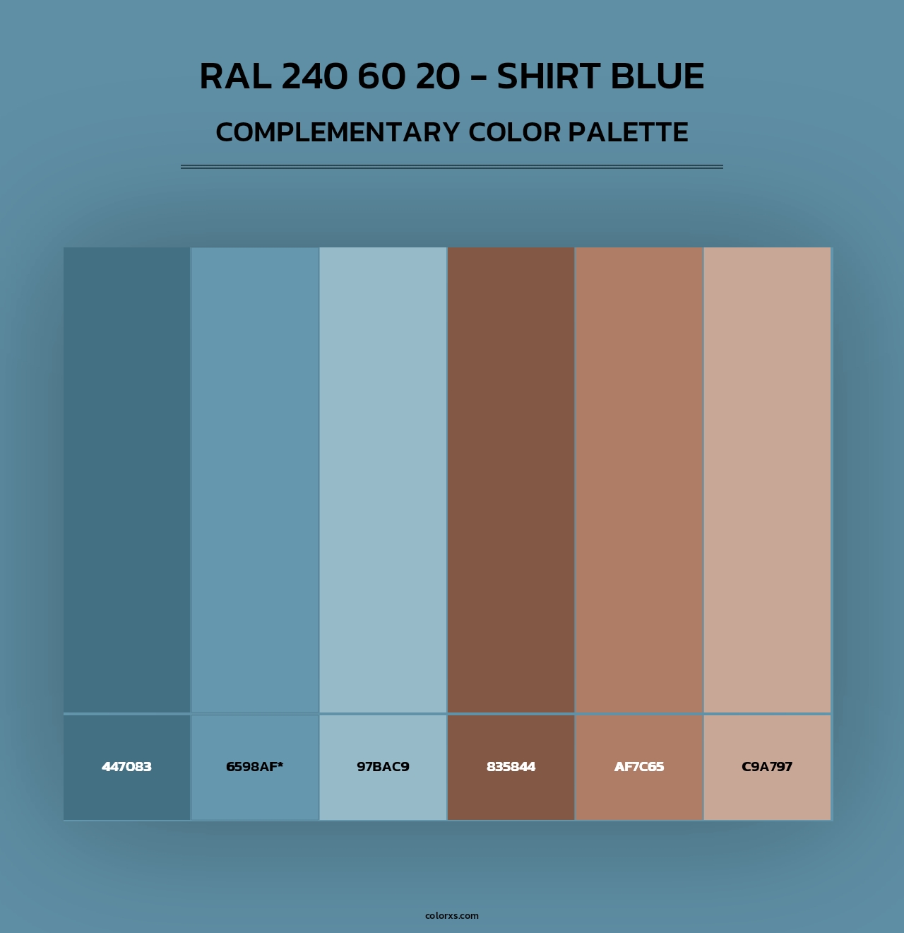 RAL 240 60 20 - Shirt Blue - Complementary Color Palette