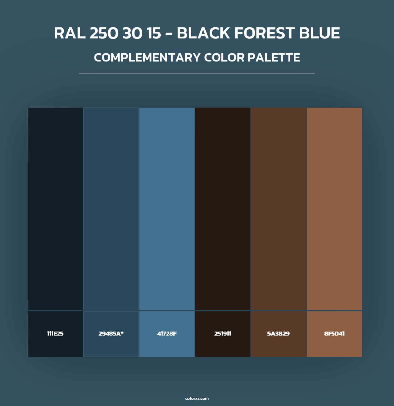 RAL 250 30 15 - Black Forest Blue - Complementary Color Palette