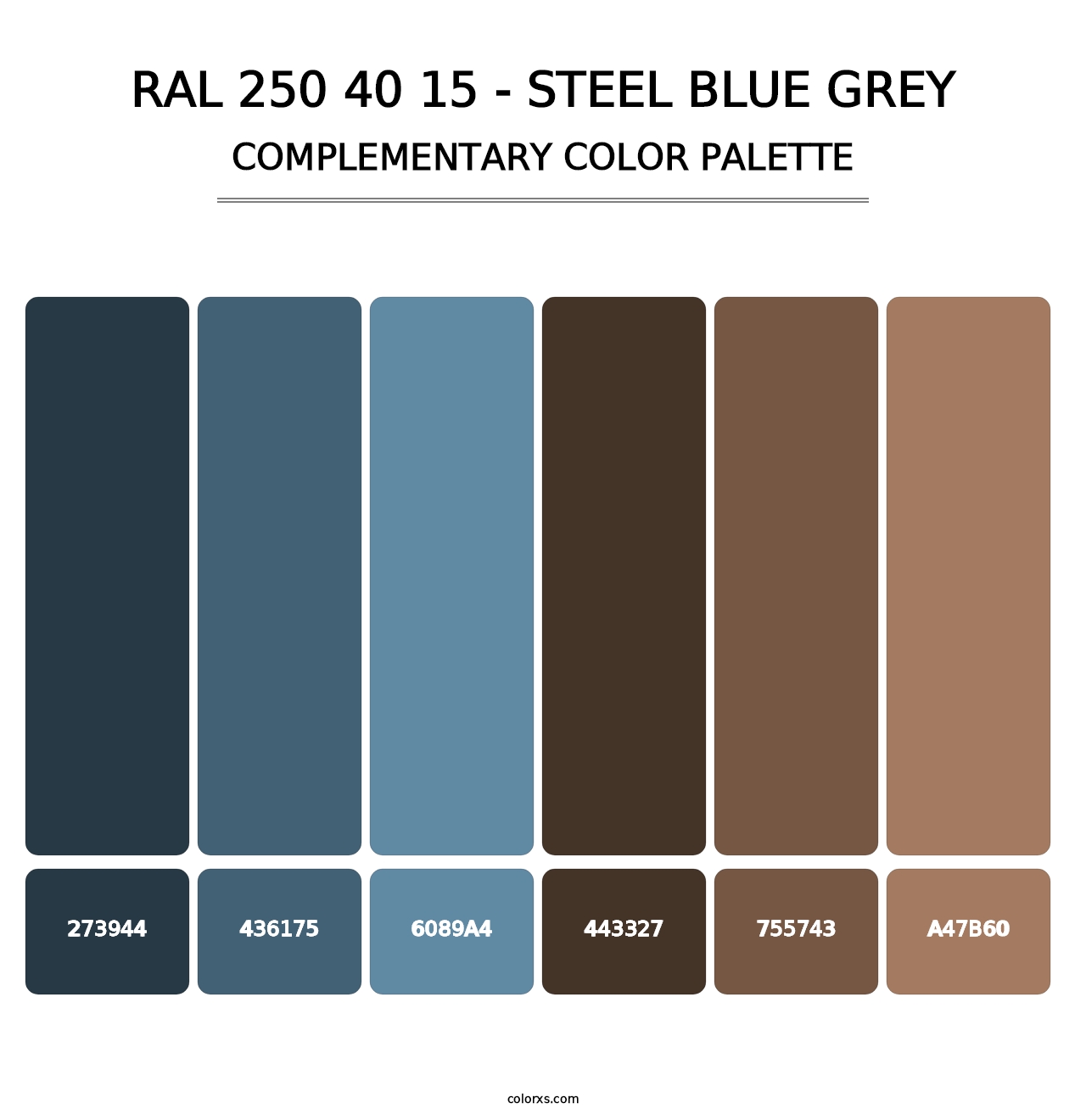 RAL 250 40 15 - Steel Blue Grey - Complementary Color Palette