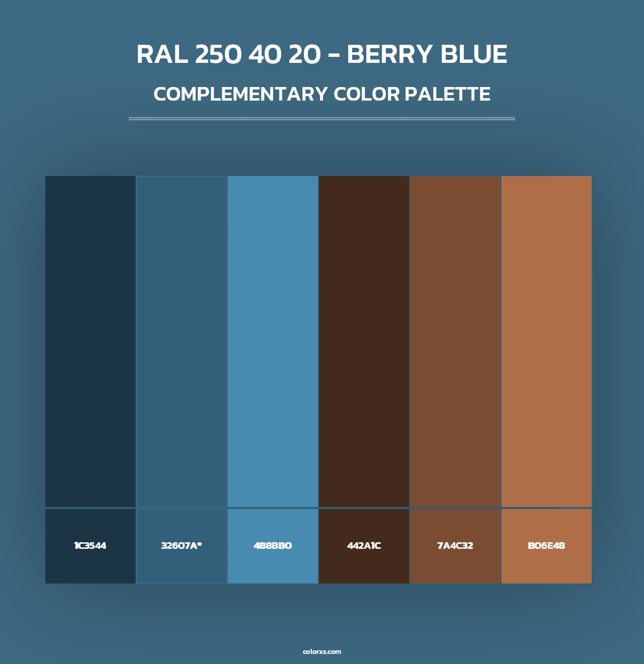 RAL 250 40 20 - Berry Blue - Complementary Color Palette