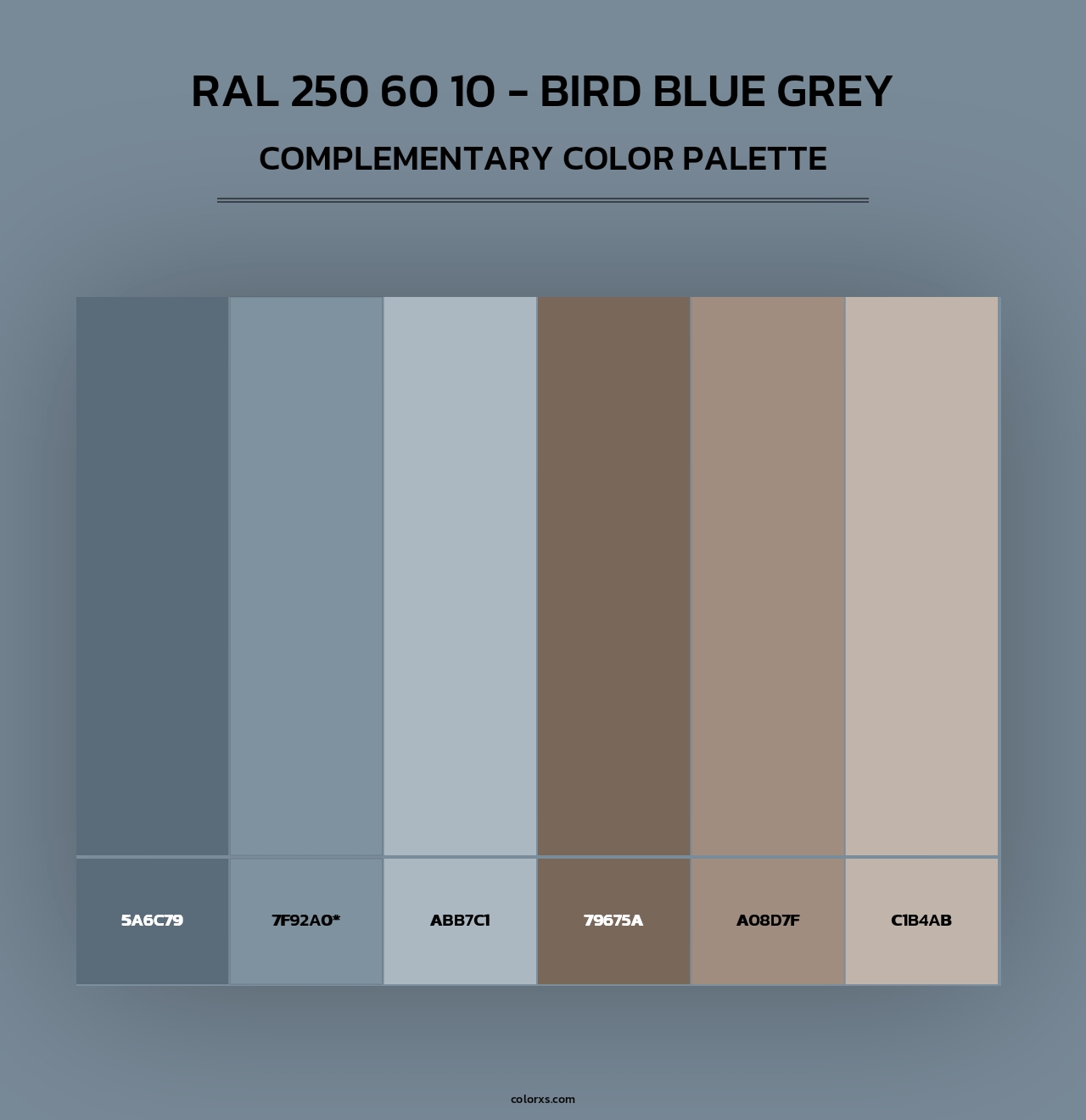 RAL 250 60 10 - Bird Blue Grey - Complementary Color Palette