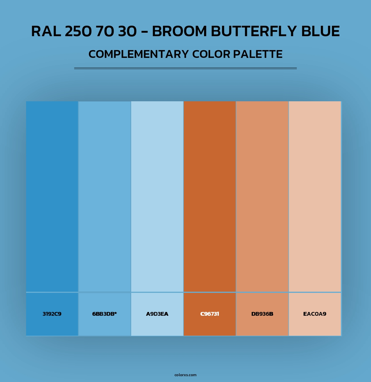 RAL 250 70 30 - Broom Butterfly Blue - Complementary Color Palette