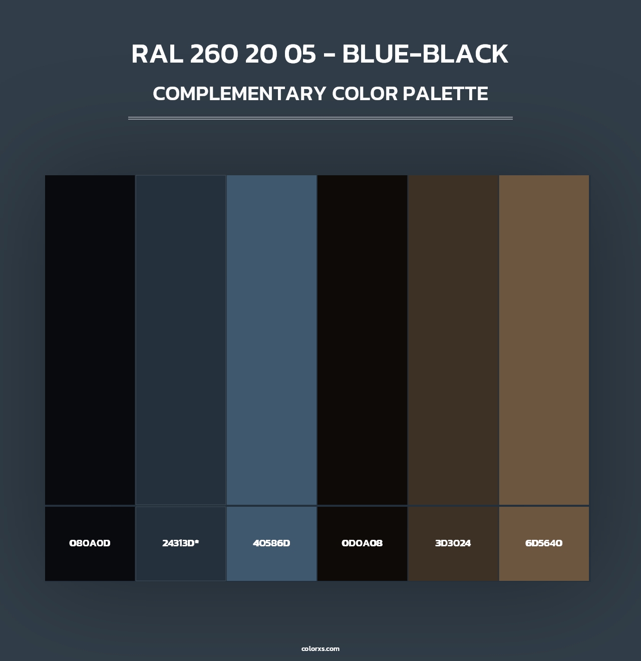 RAL 260 20 05 - Blue-Black - Complementary Color Palette