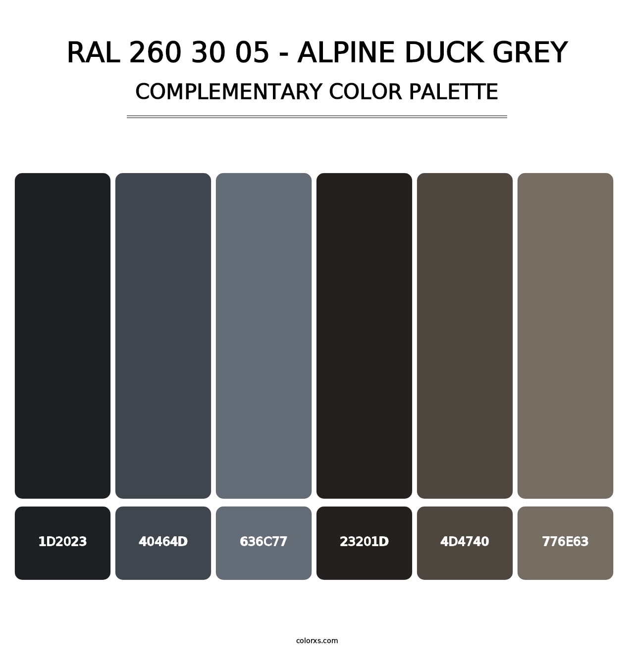 RAL 260 30 05 - Alpine Duck Grey - Complementary Color Palette