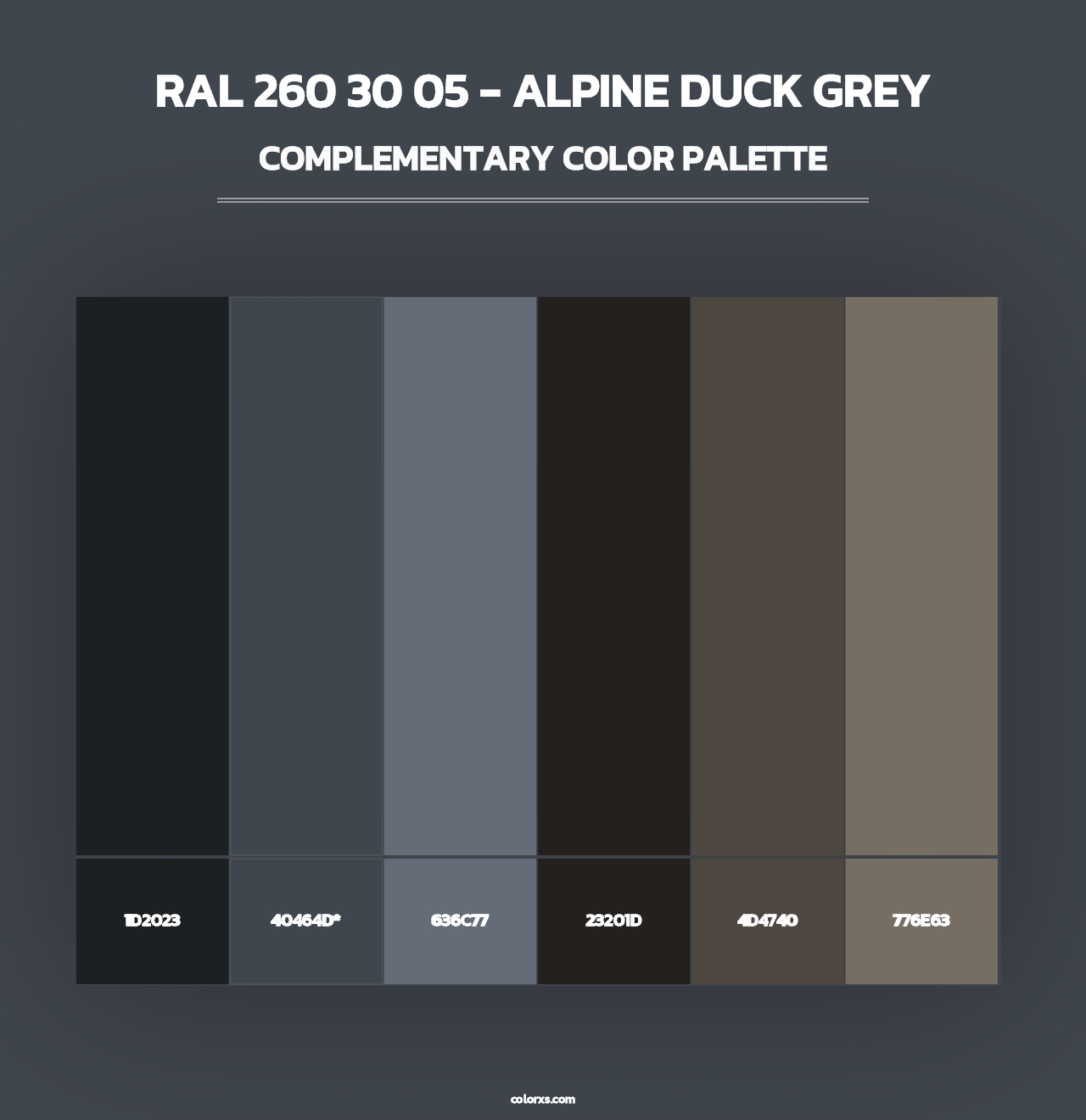 RAL 260 30 05 - Alpine Duck Grey - Complementary Color Palette
