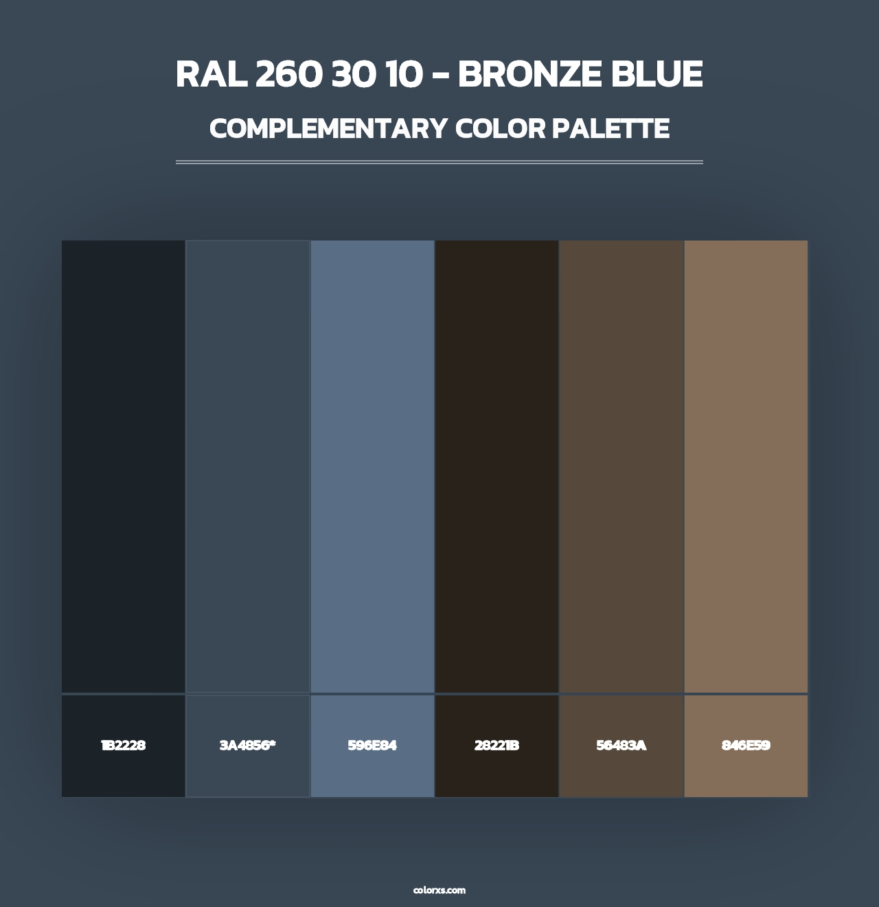RAL 260 30 10 - Bronze Blue - Complementary Color Palette