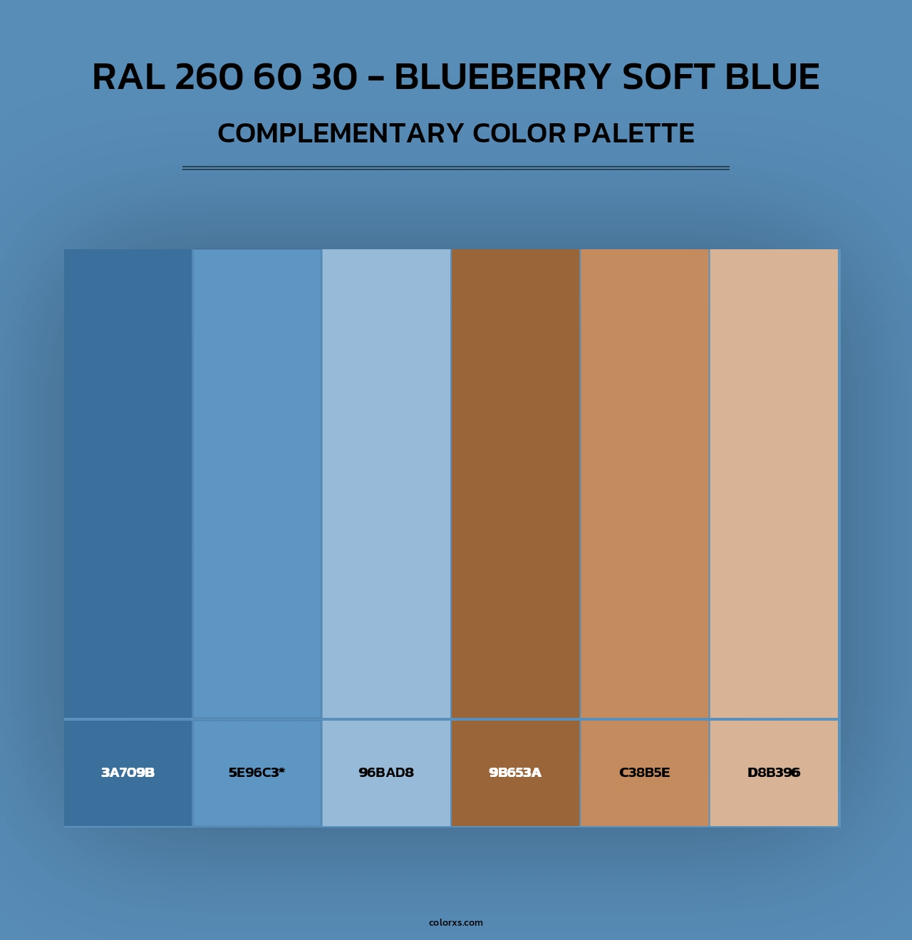 RAL 260 60 30 - Blueberry Soft Blue - Complementary Color Palette