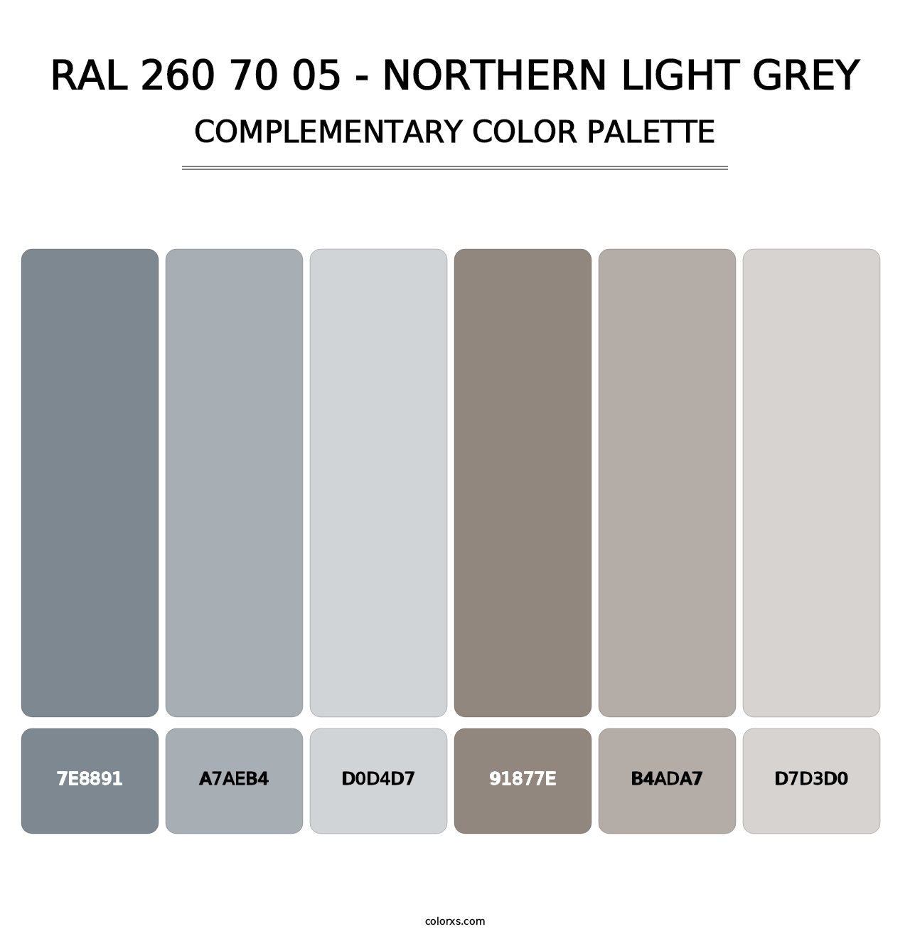 RAL 260 70 05 - Northern Light Grey - Complementary Color Palette