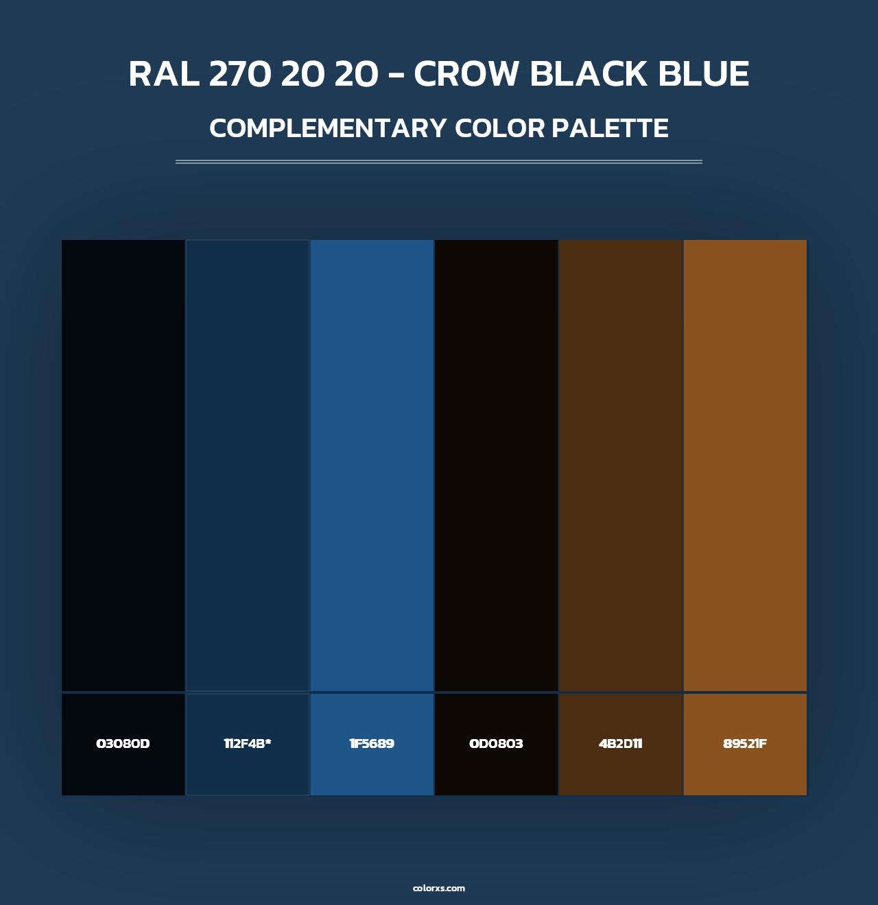 RAL 270 20 20 - Crow Black Blue - Complementary Color Palette